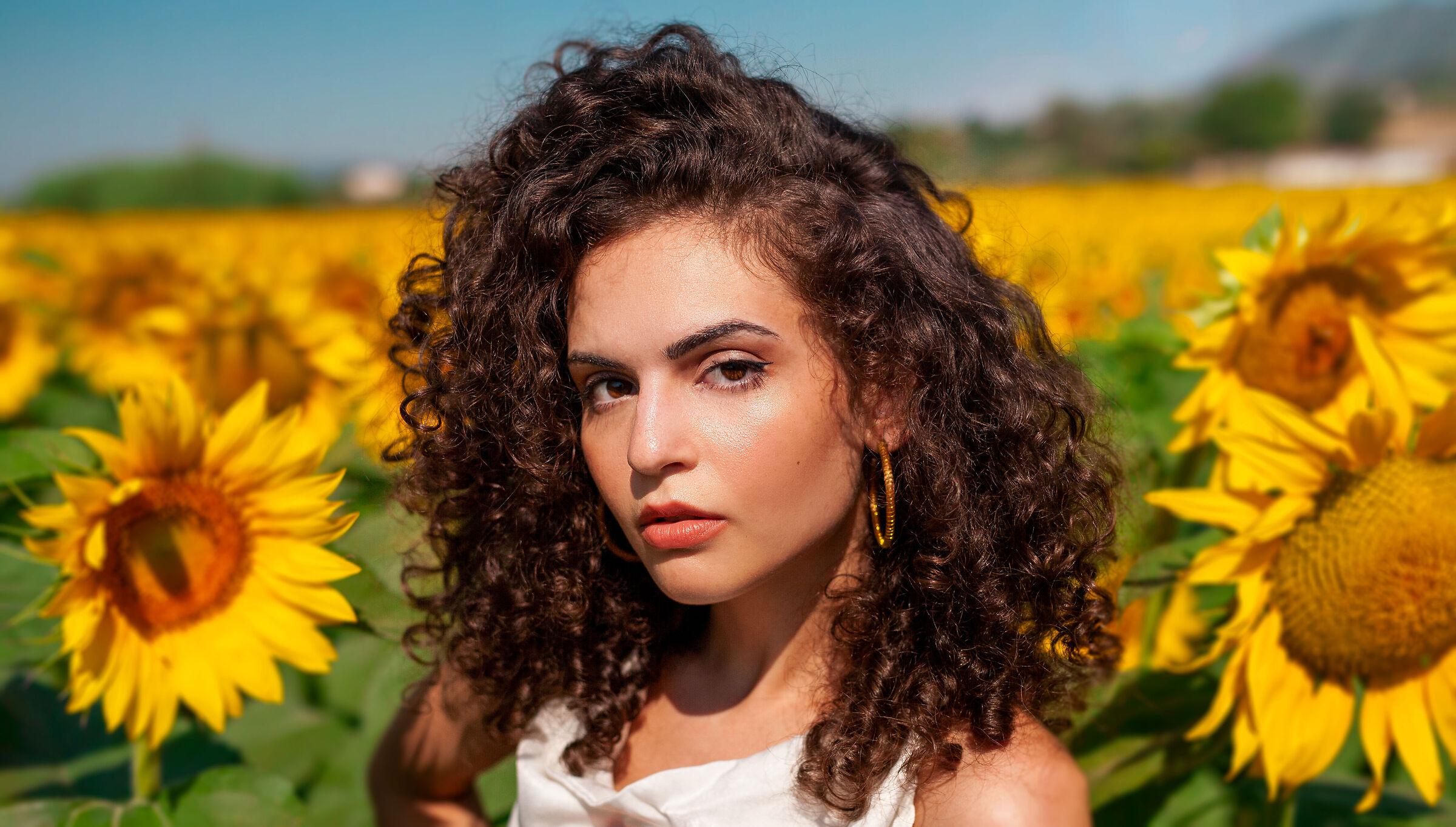 Sunflowers