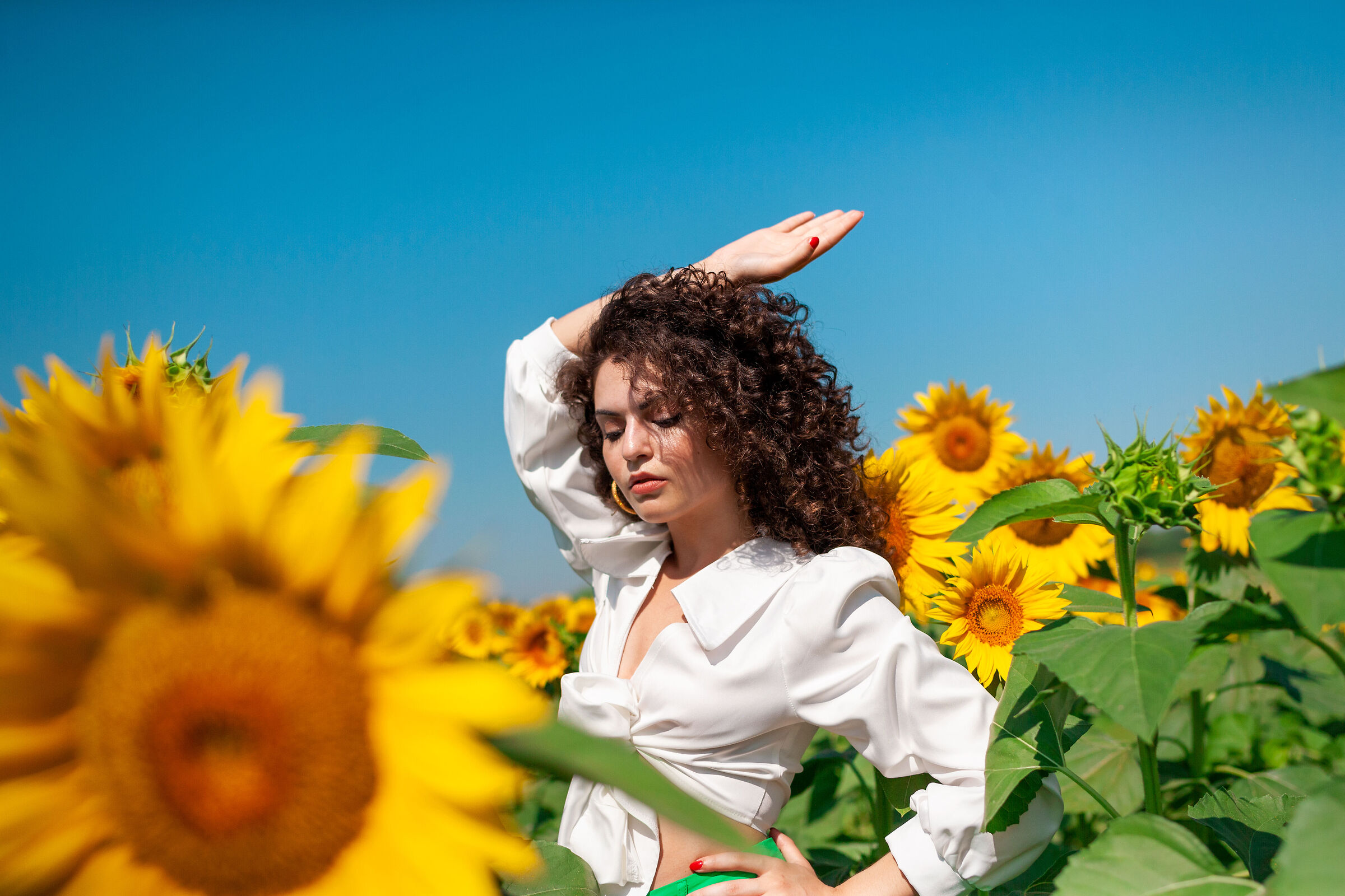 Sunflowers