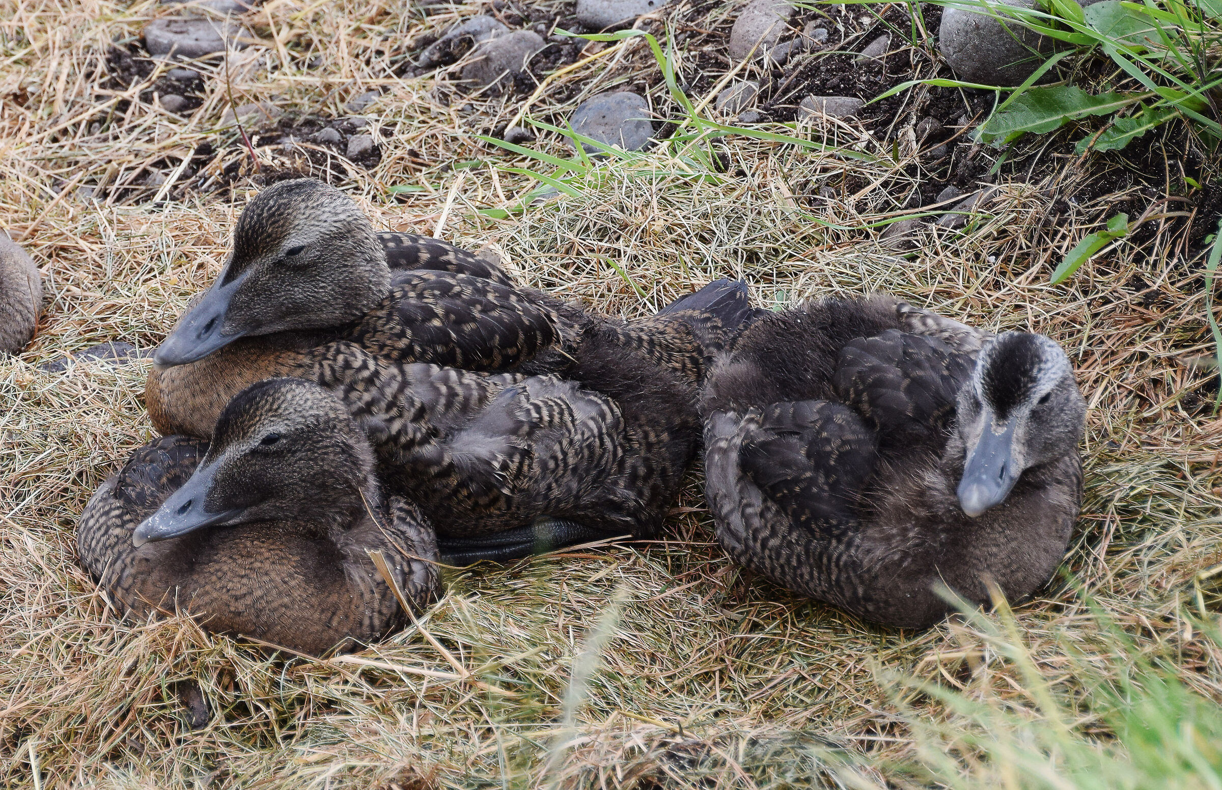 Sheltering from the cold