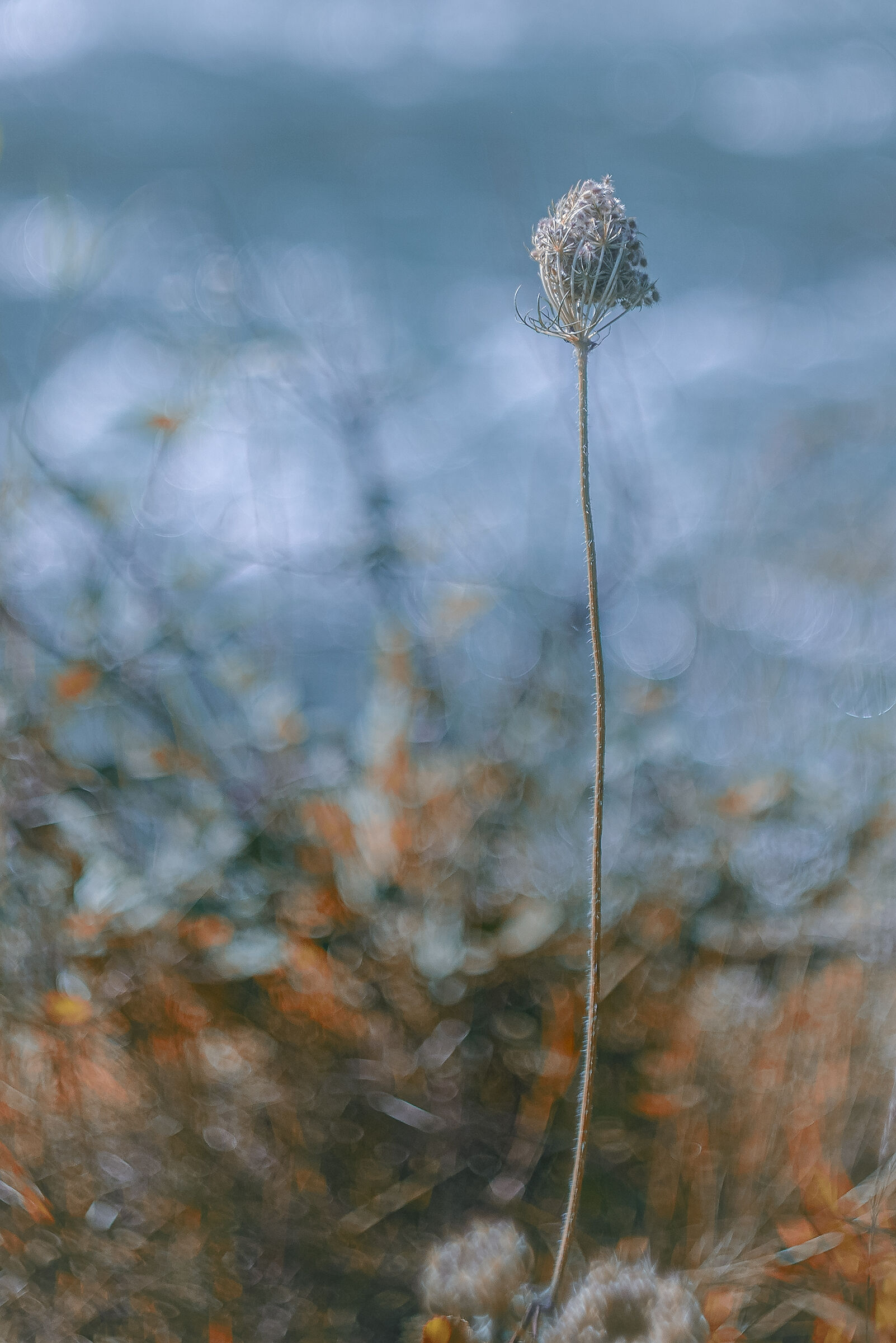 Sul ciglio della strada