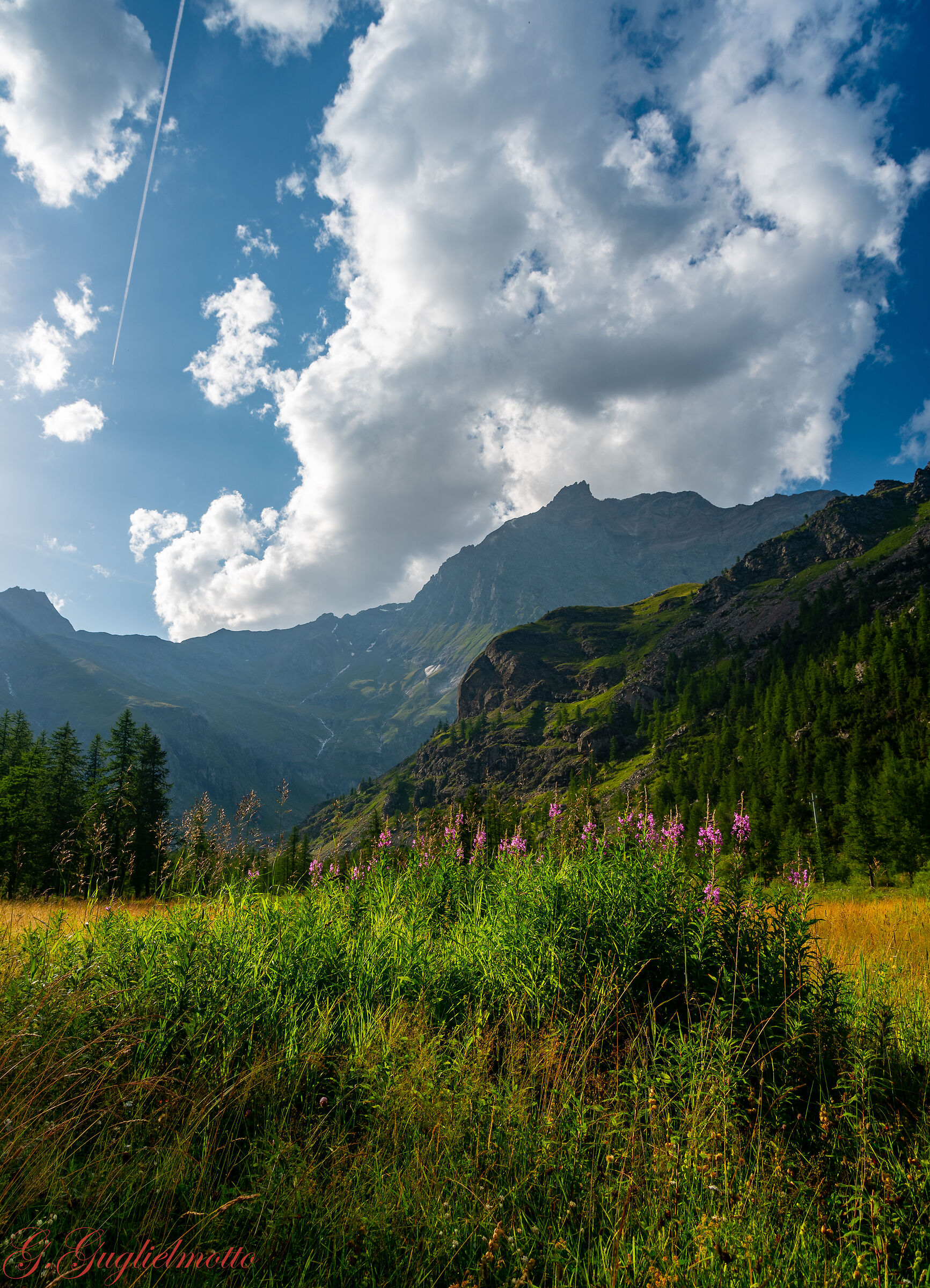 Uia Della Ciamarella dal Pian della Mussa