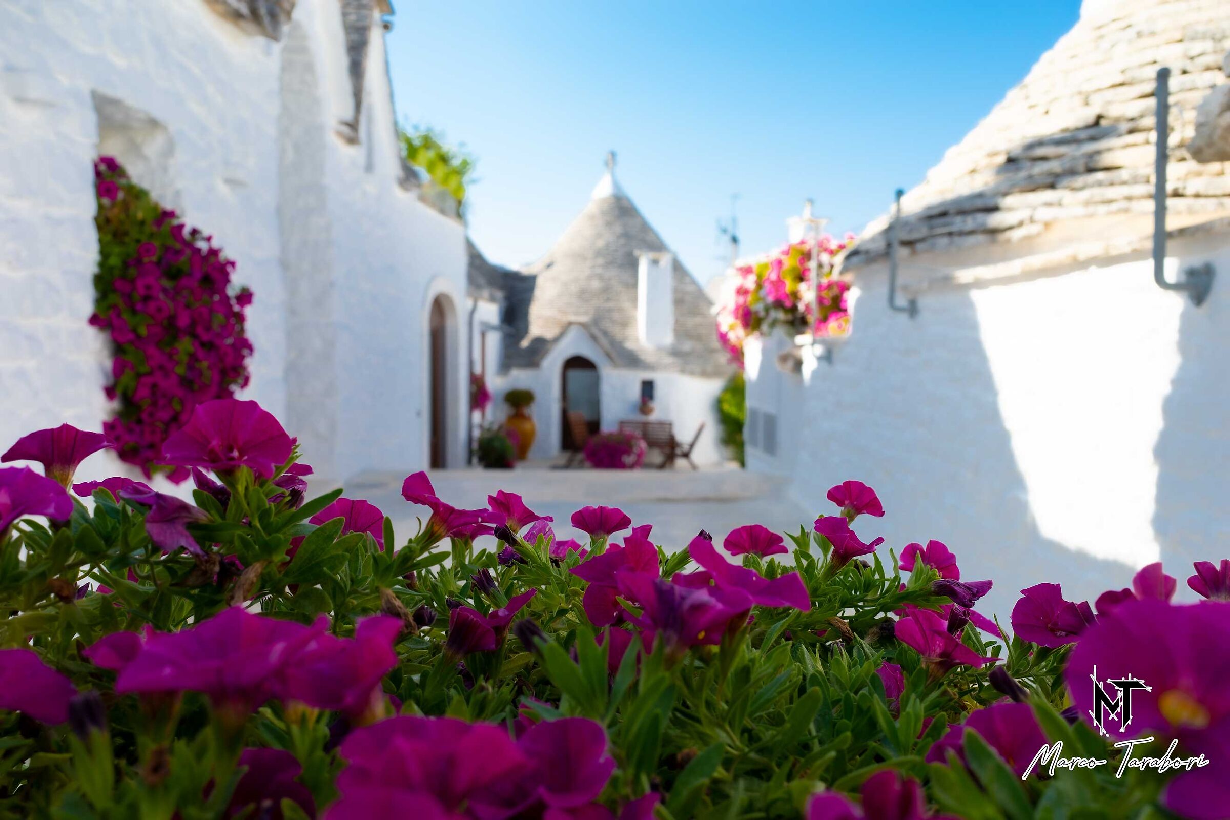 Alberobello