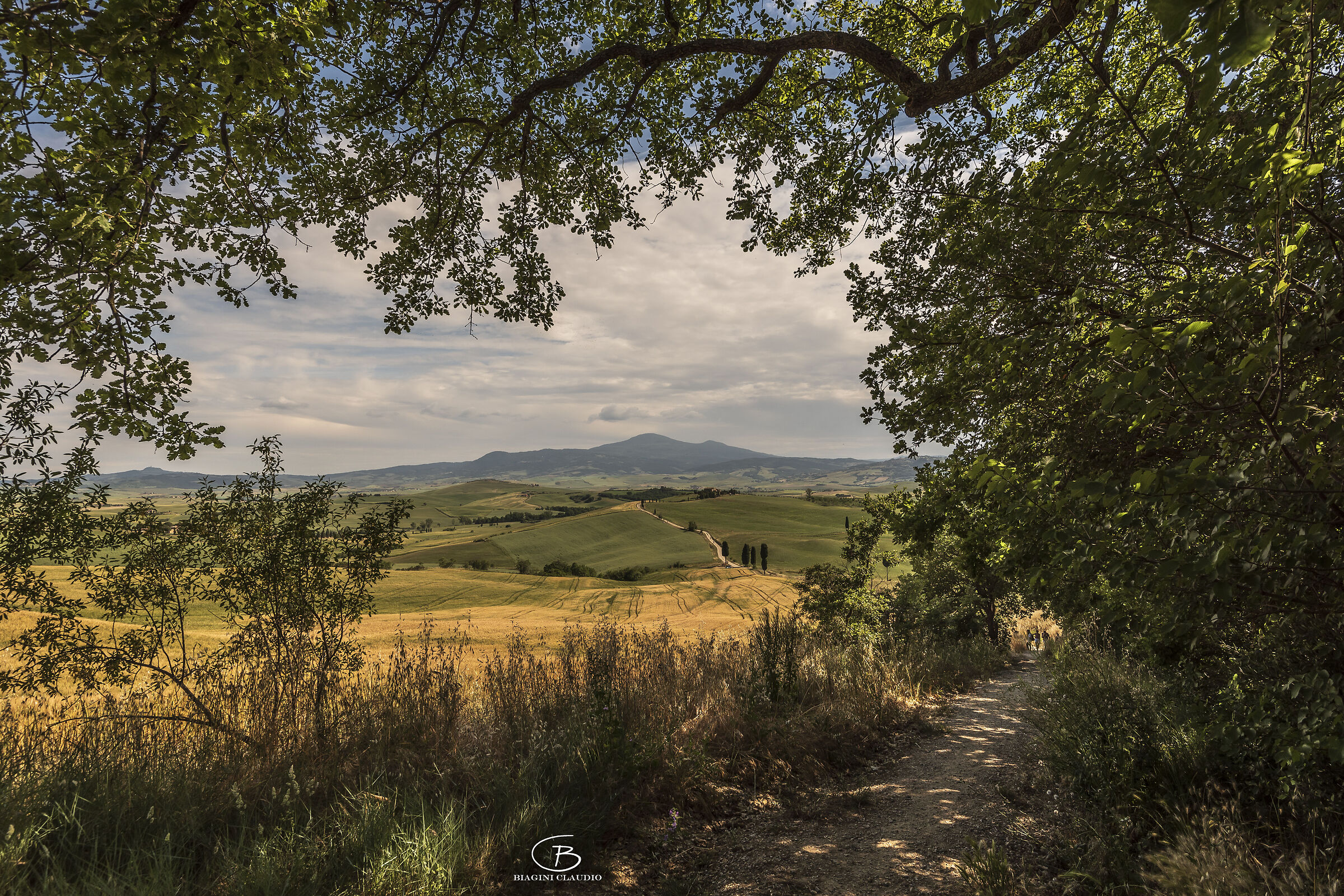 A painting by Terrapille