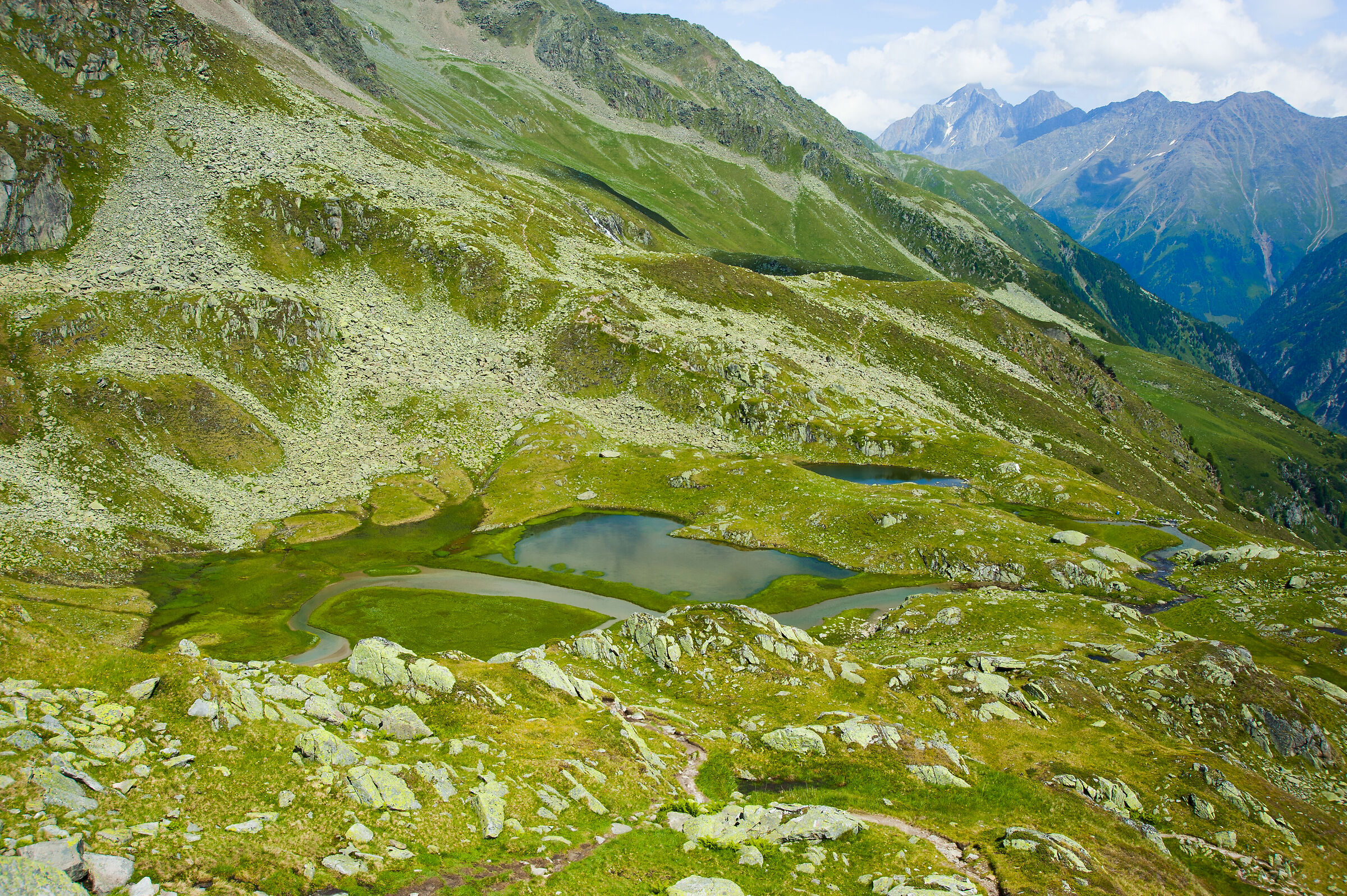 Montagne Verdi
