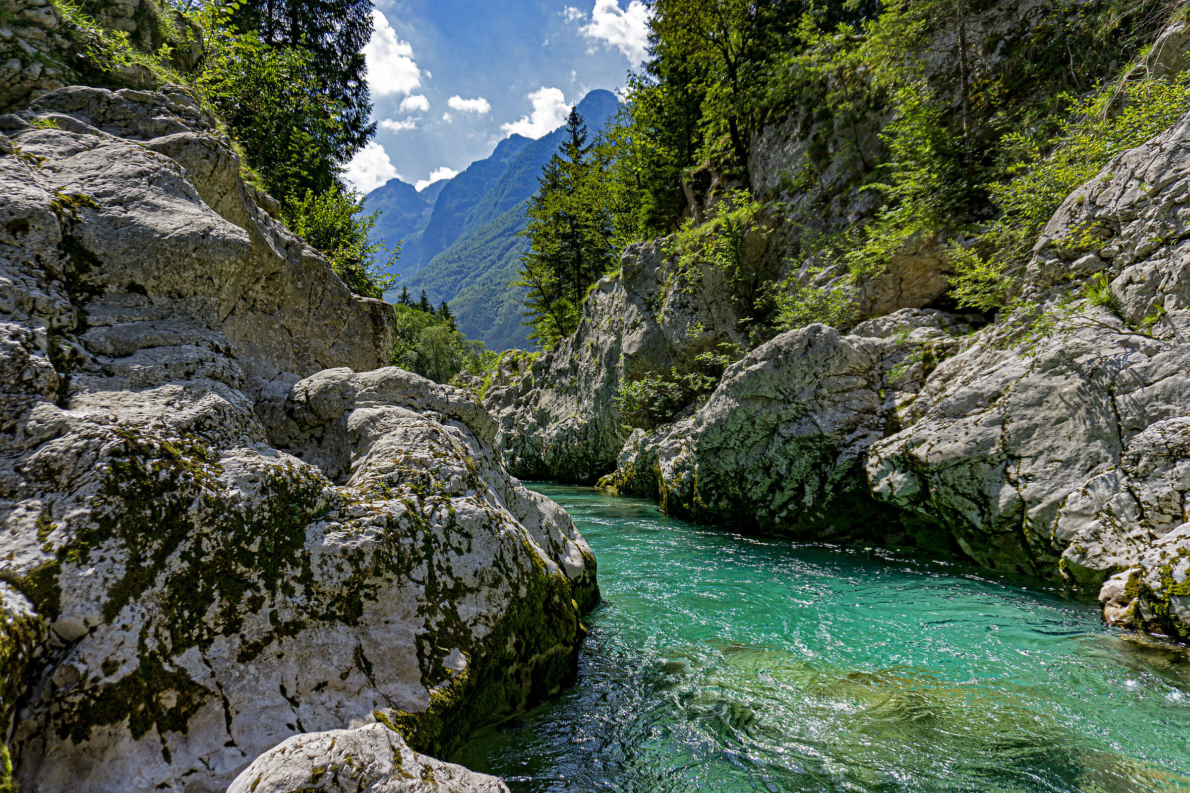 bovec soca