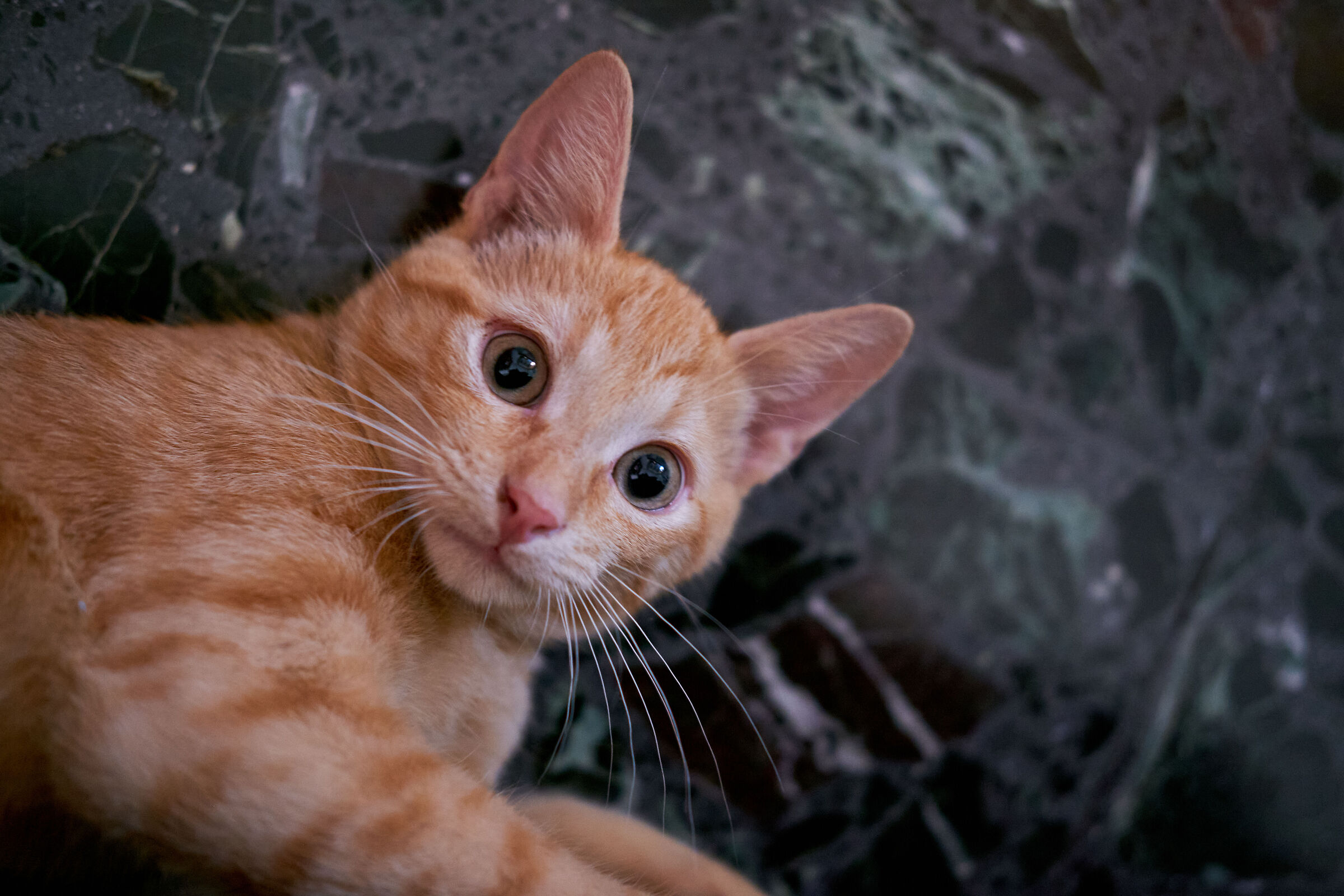 Amazement in the eyes