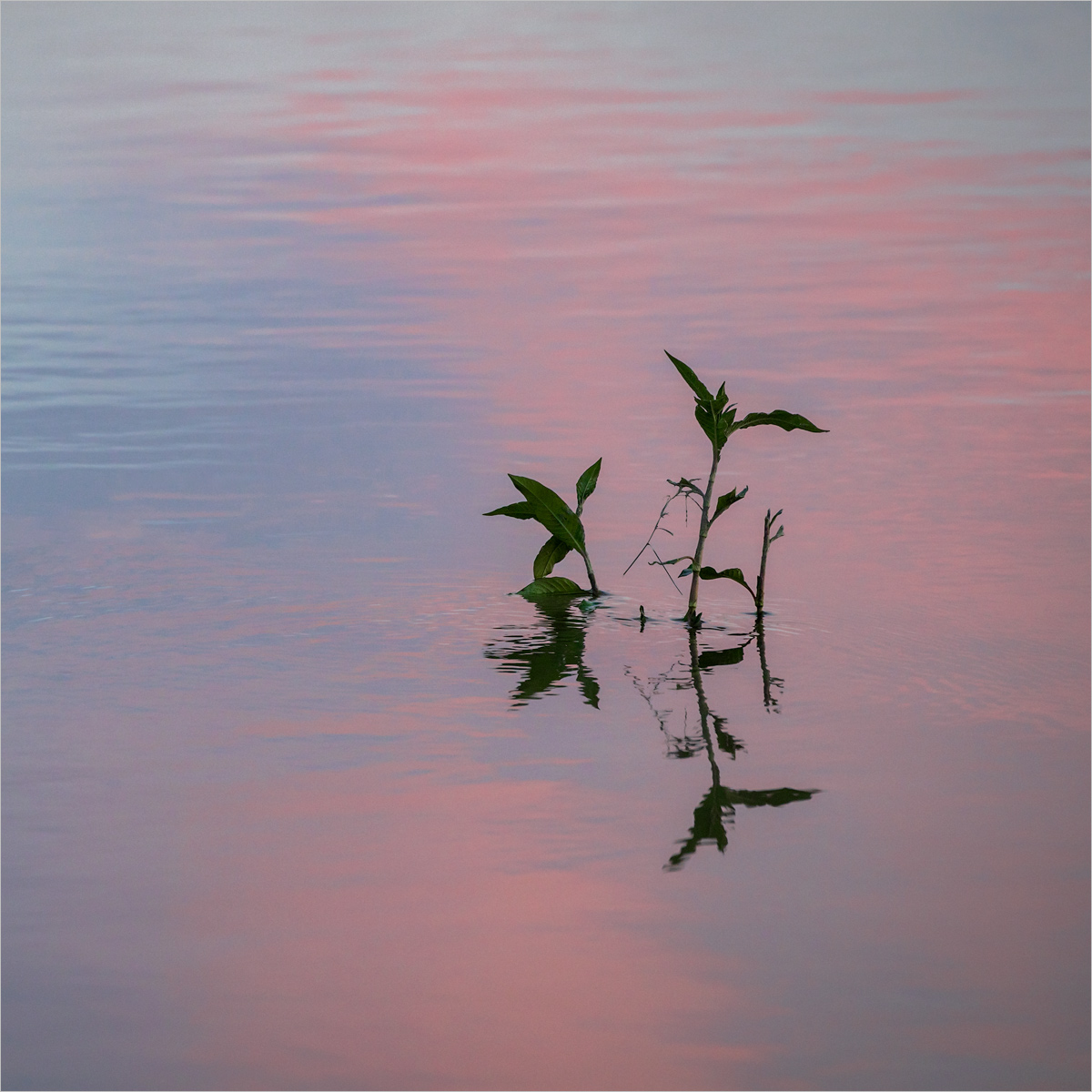 Healing Water