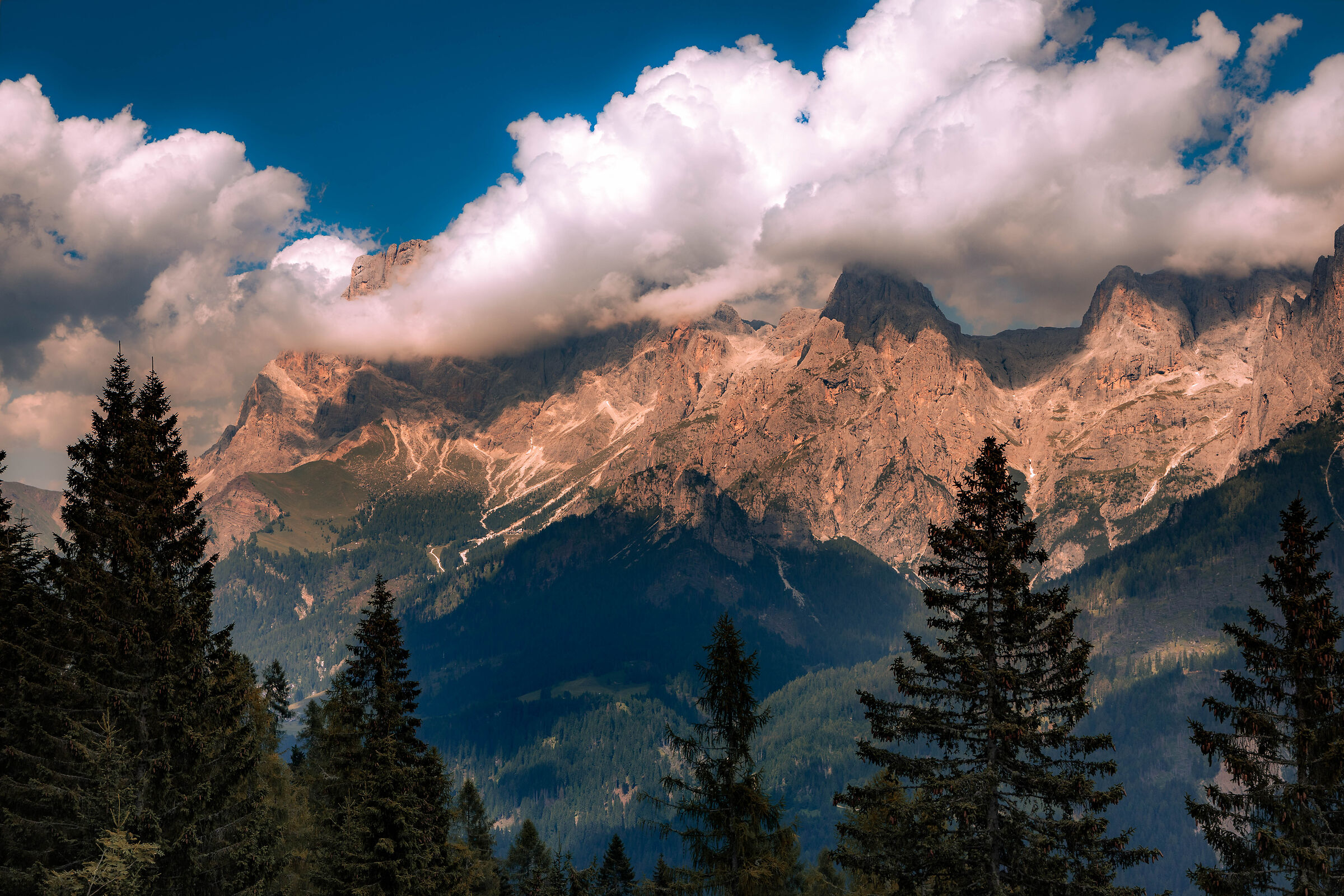Pale Di San Martino