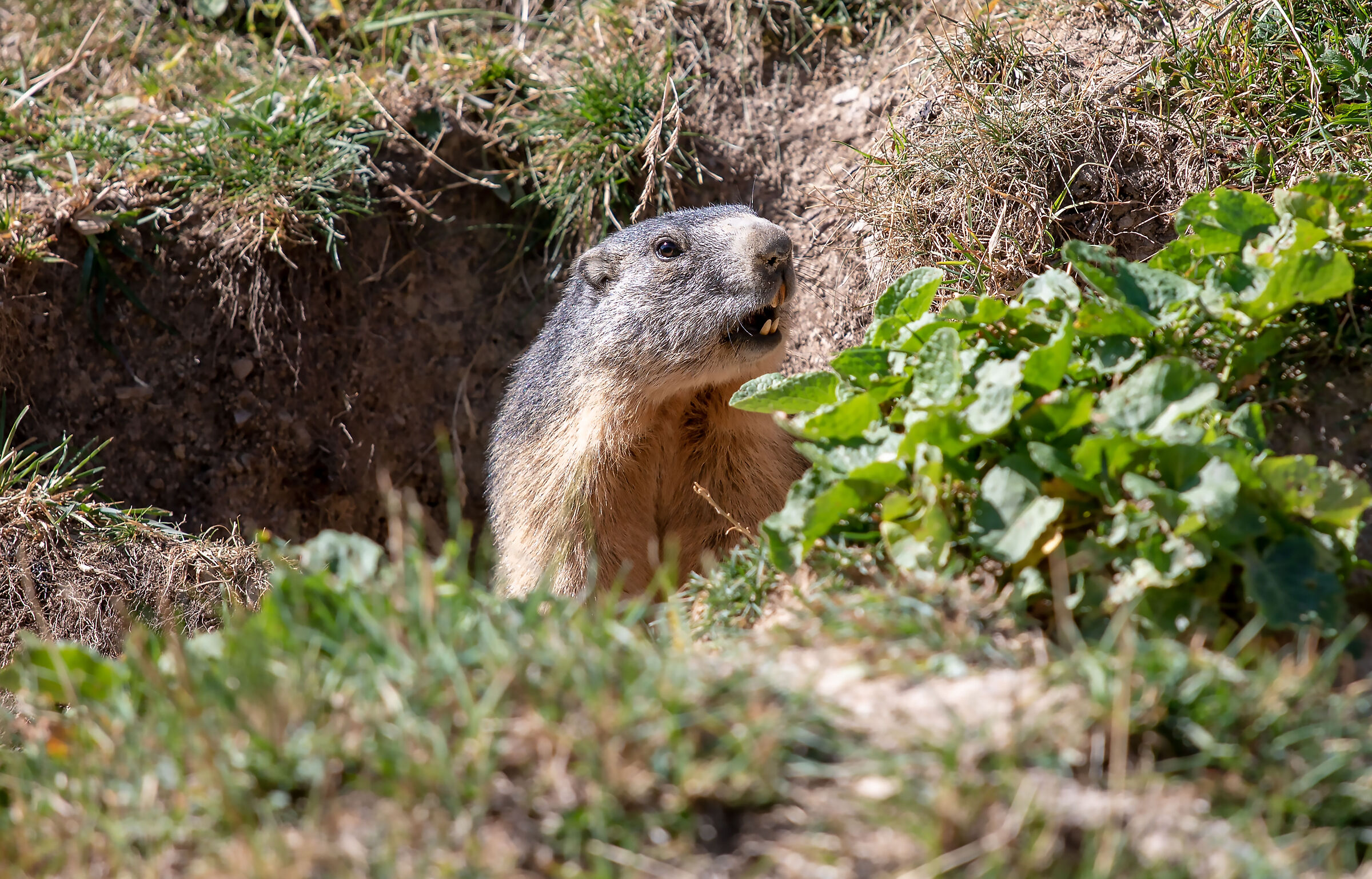 Well? What do you want?