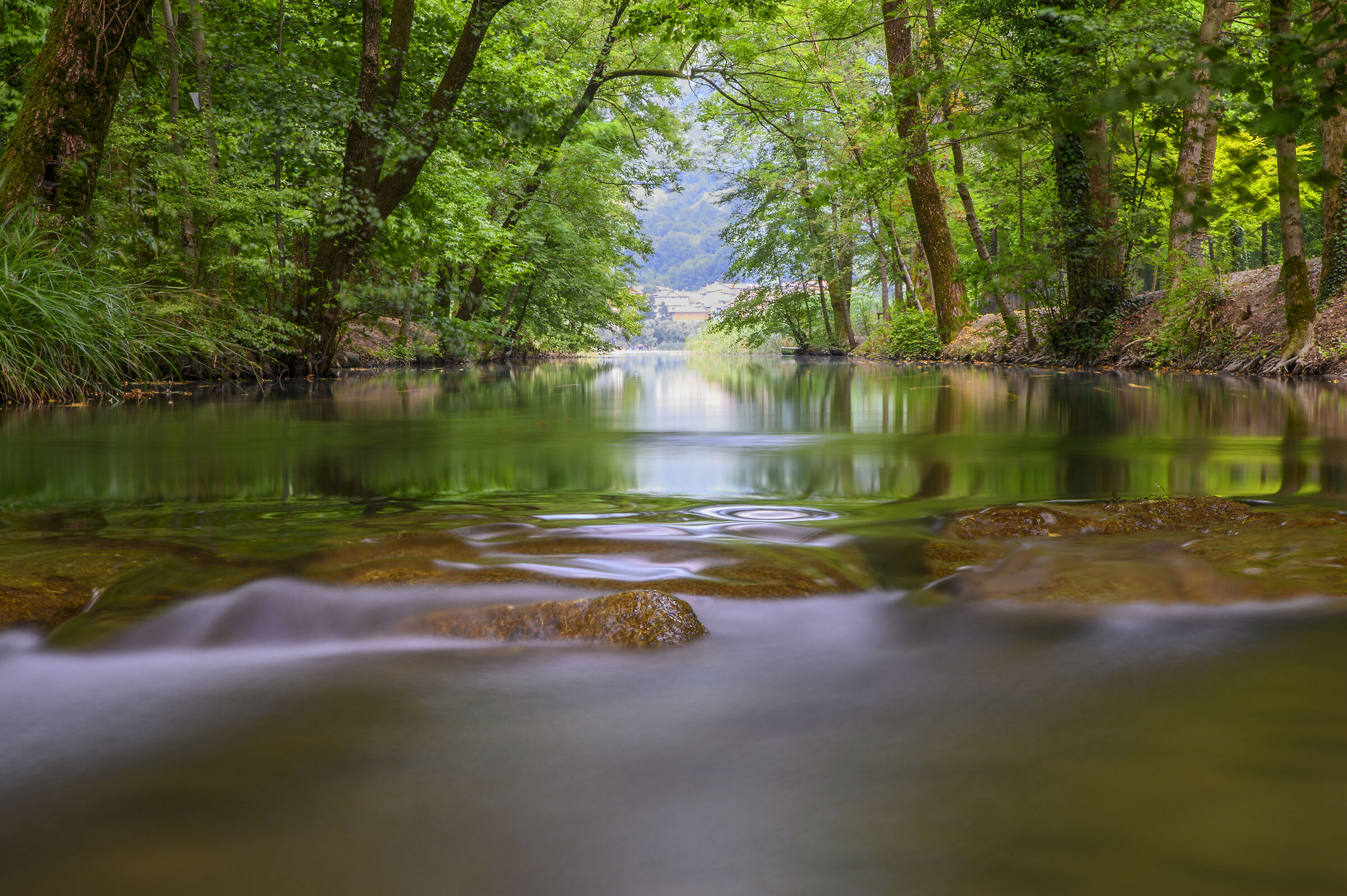 On the surface of the water