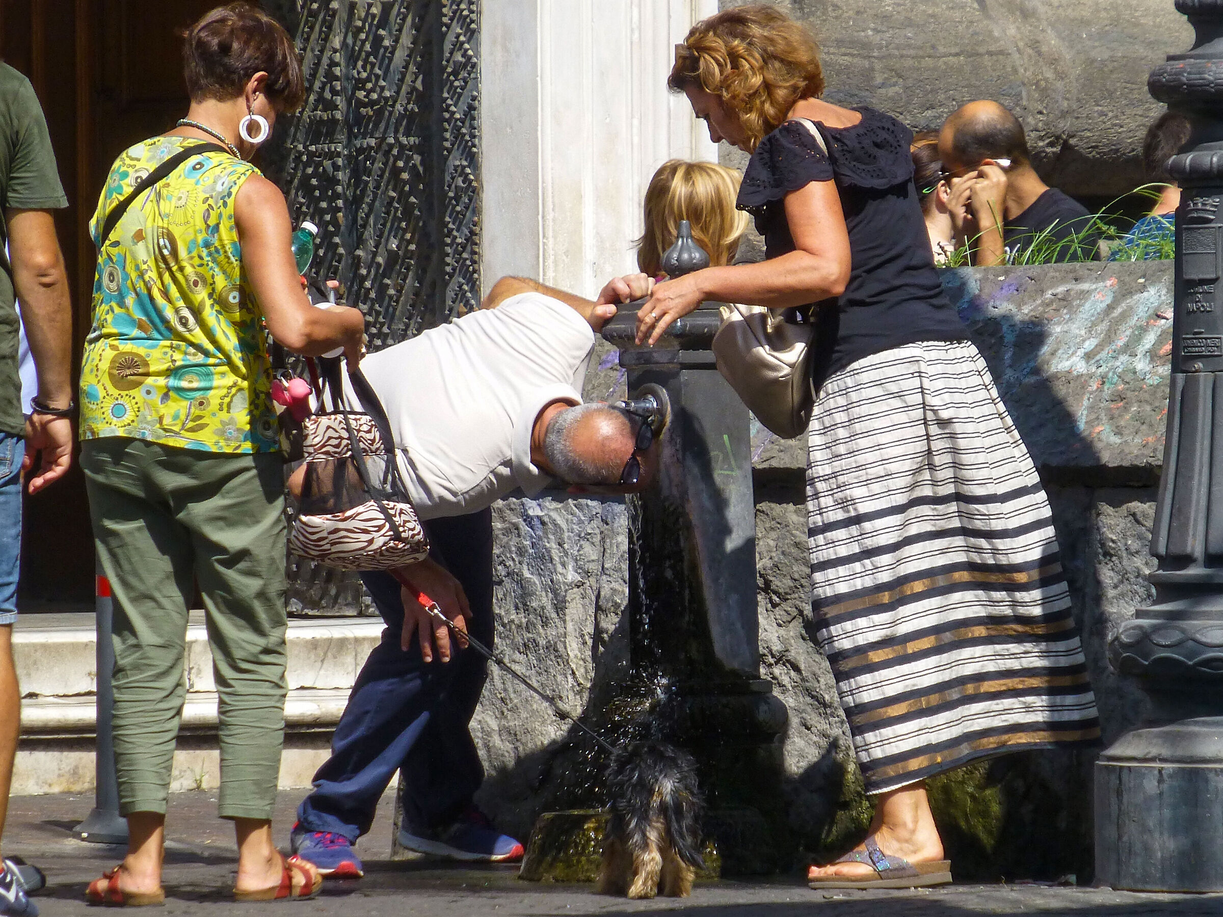 Dispositivo dissetante multispecie...