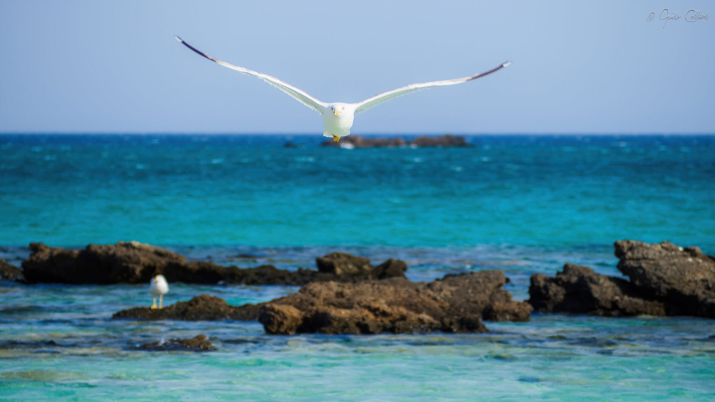 Gliding over the sea