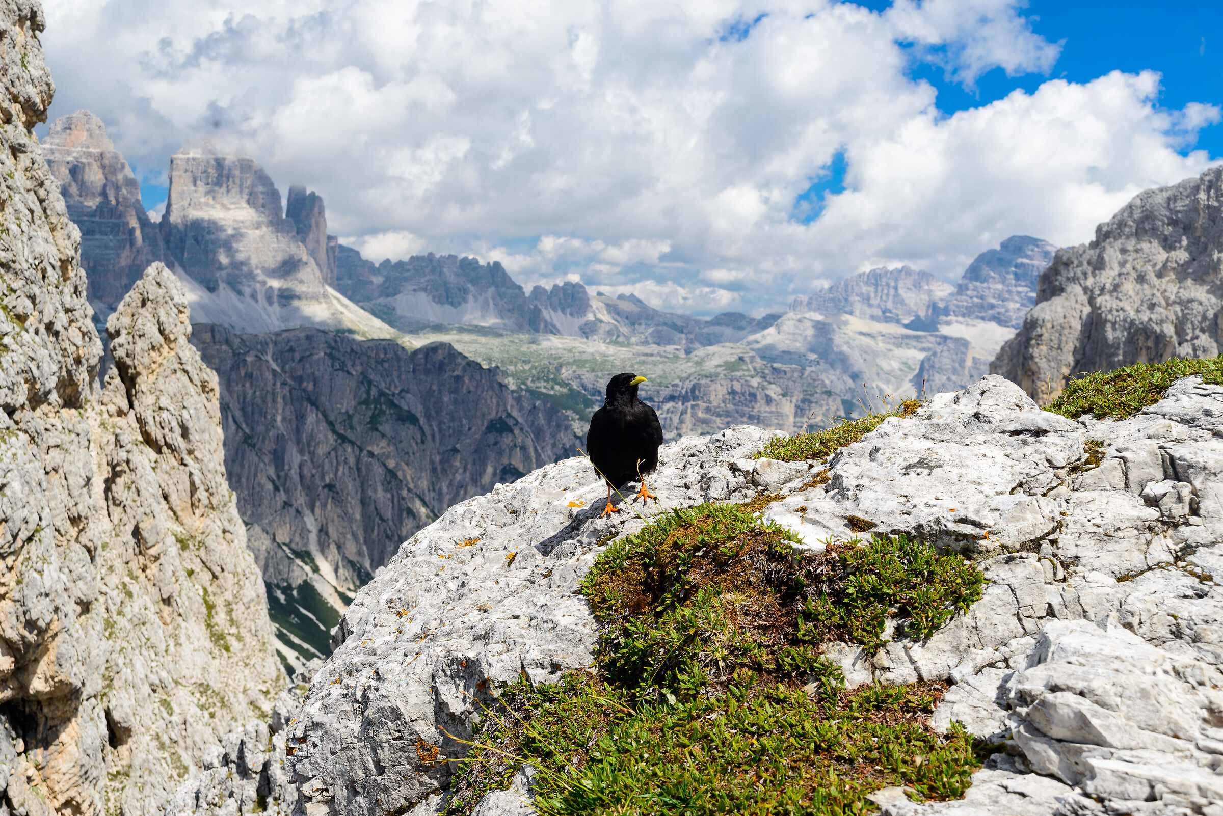 Meetings at high altitude