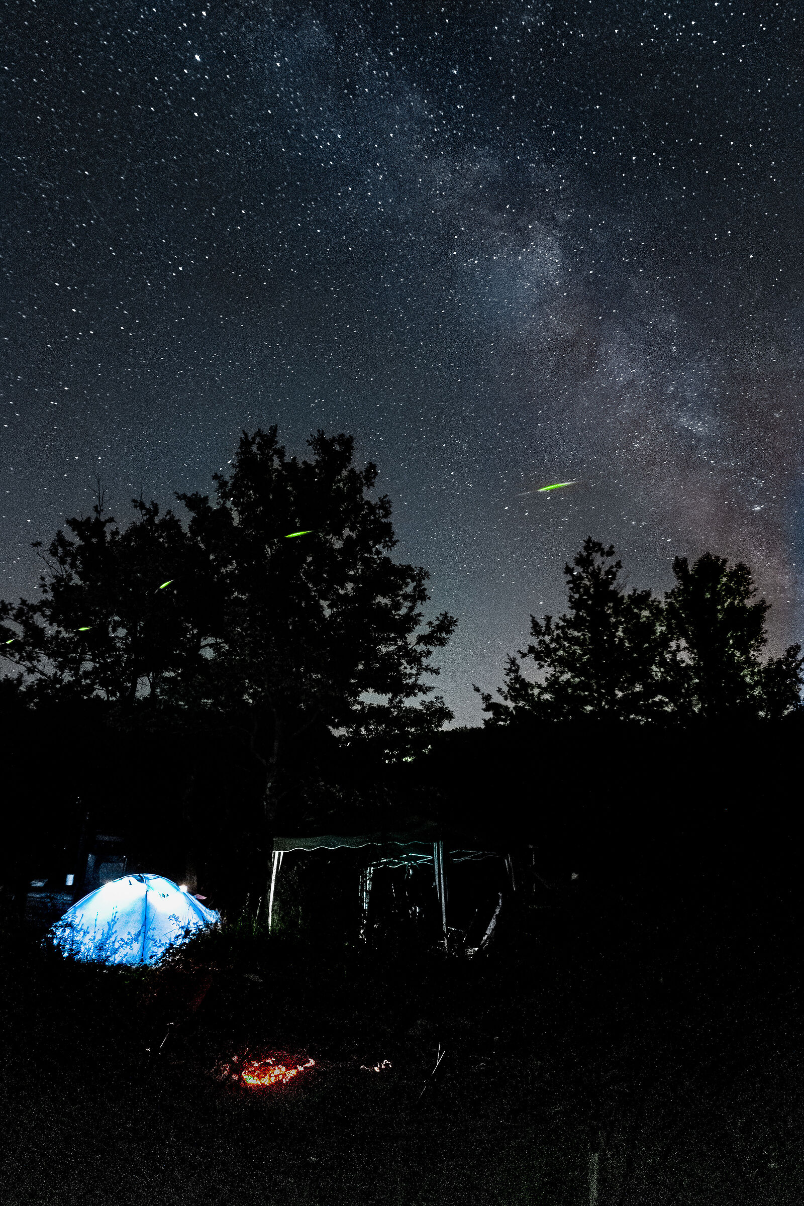 Firefly