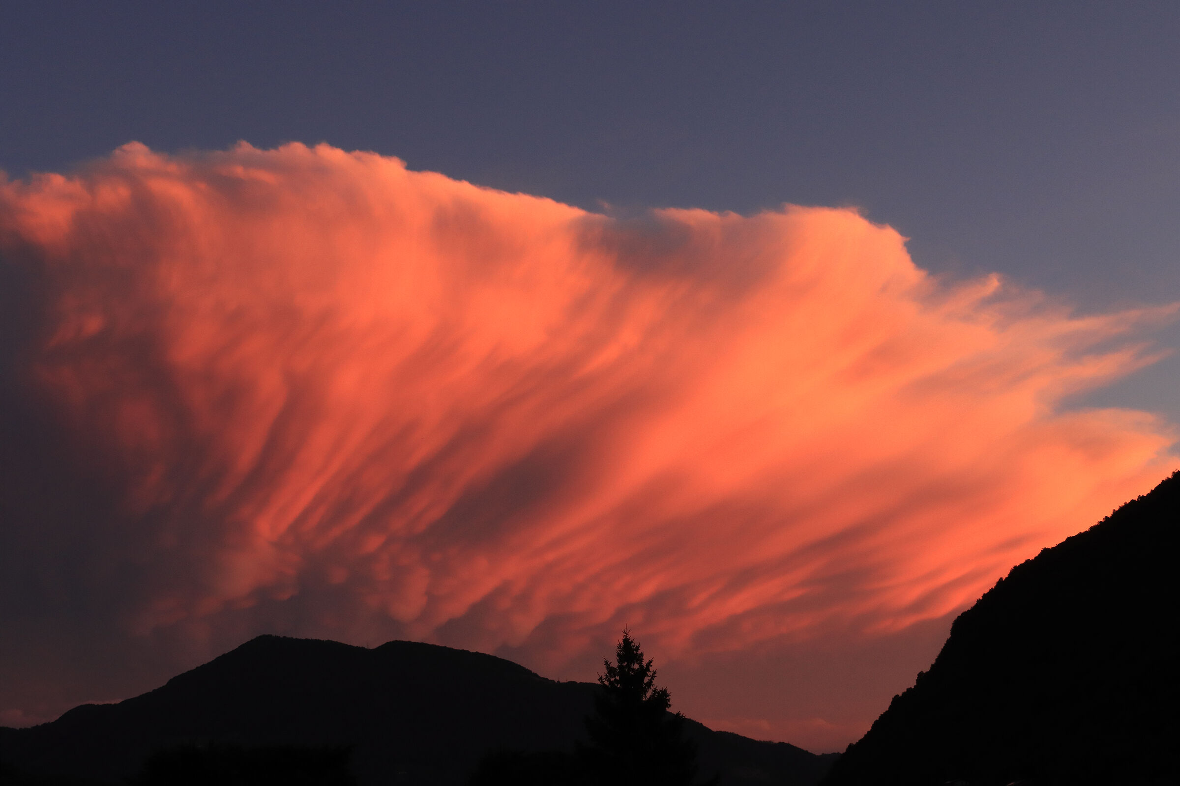tonight from my terrace
