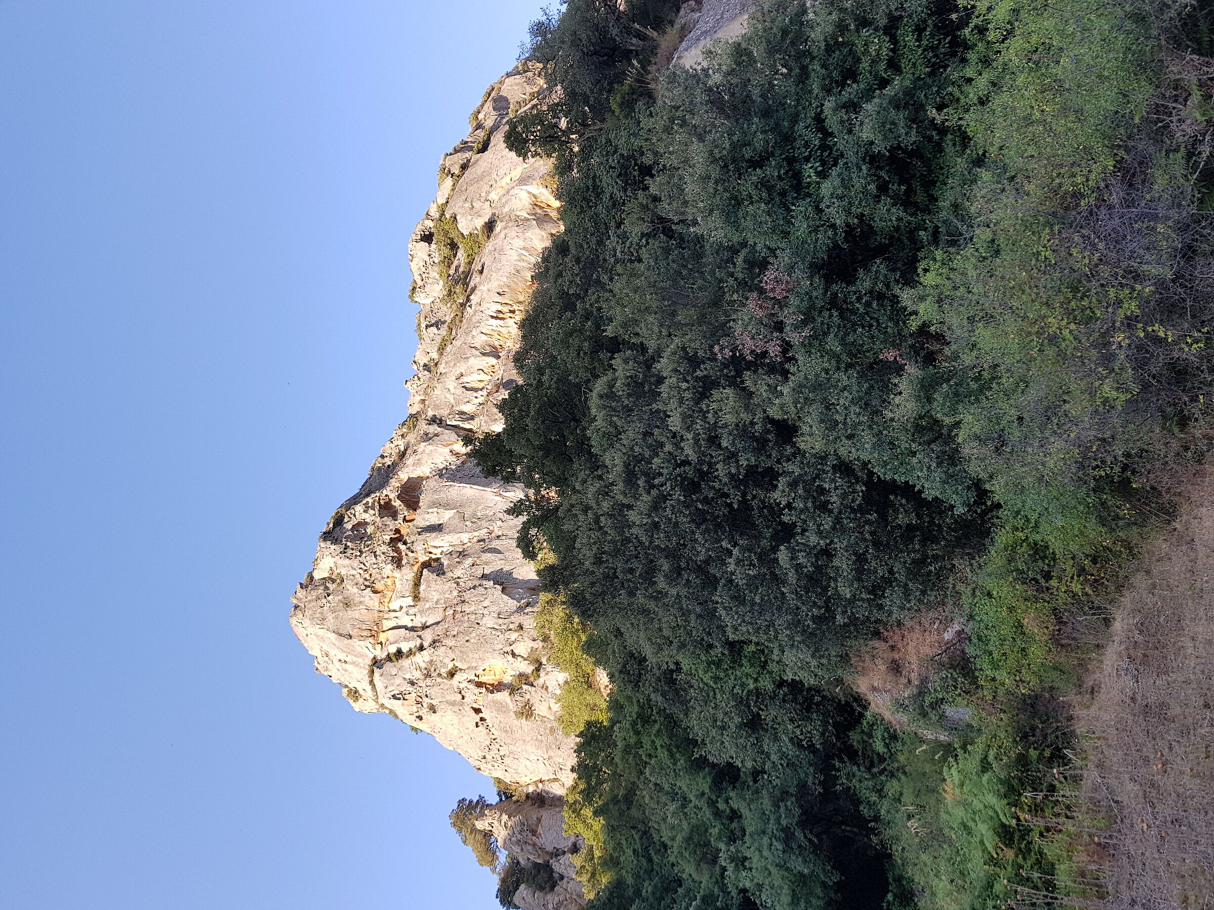 Ambiente Capovaccaio