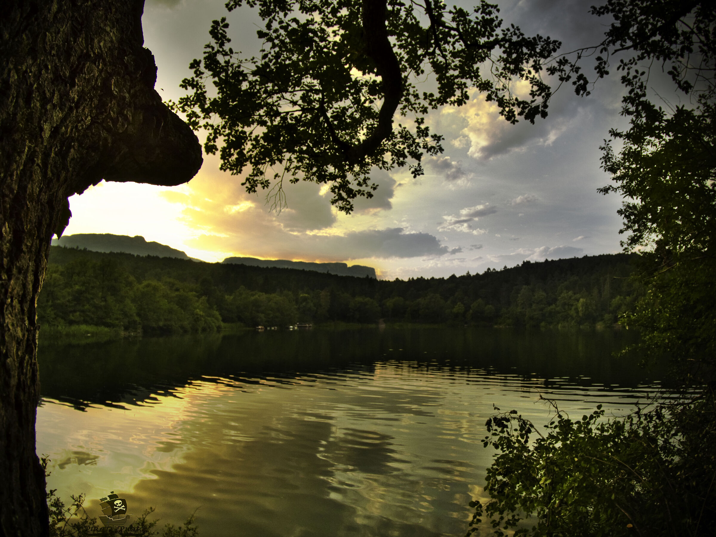 Con lo sfondo del panegal