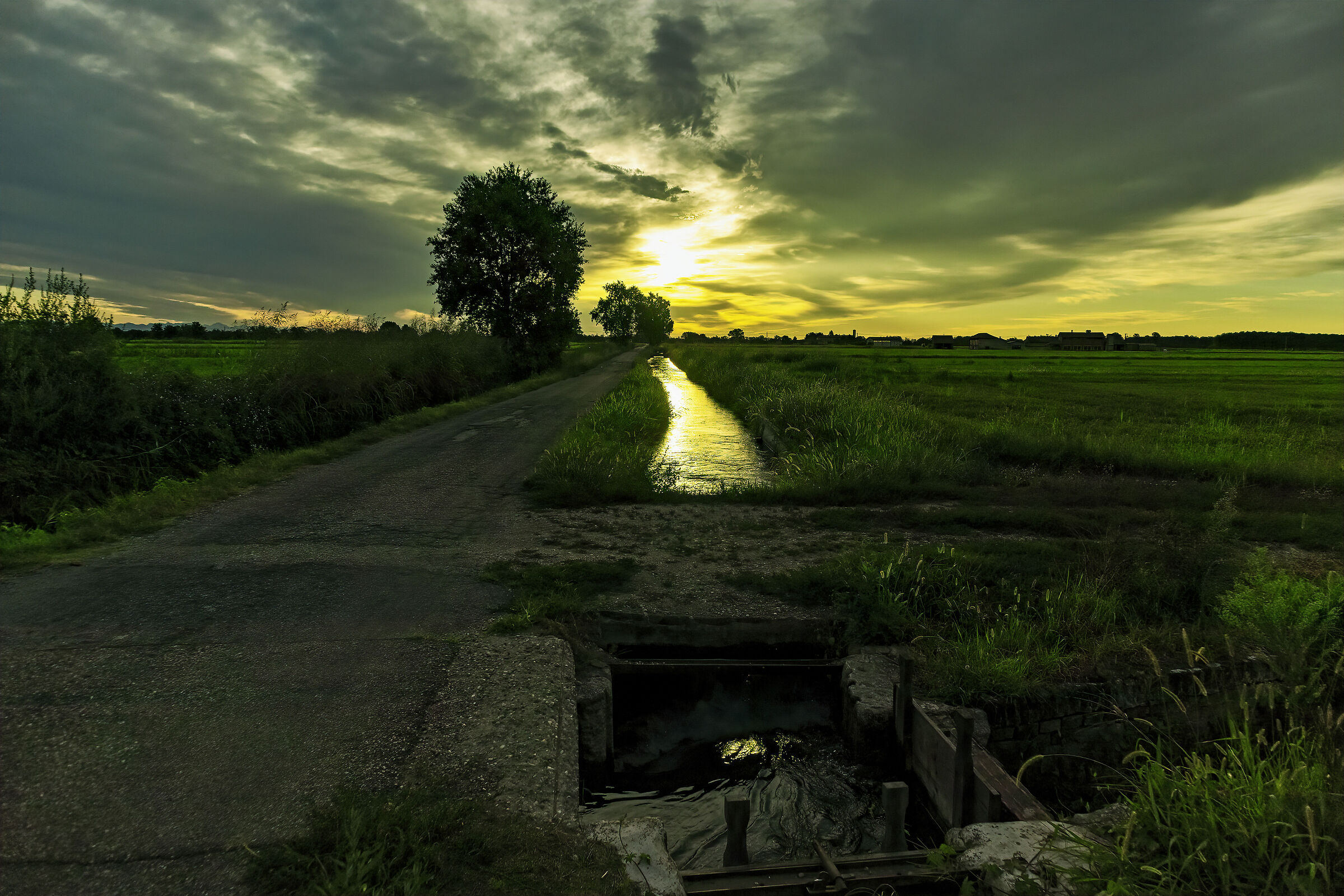 Un alba in campagna