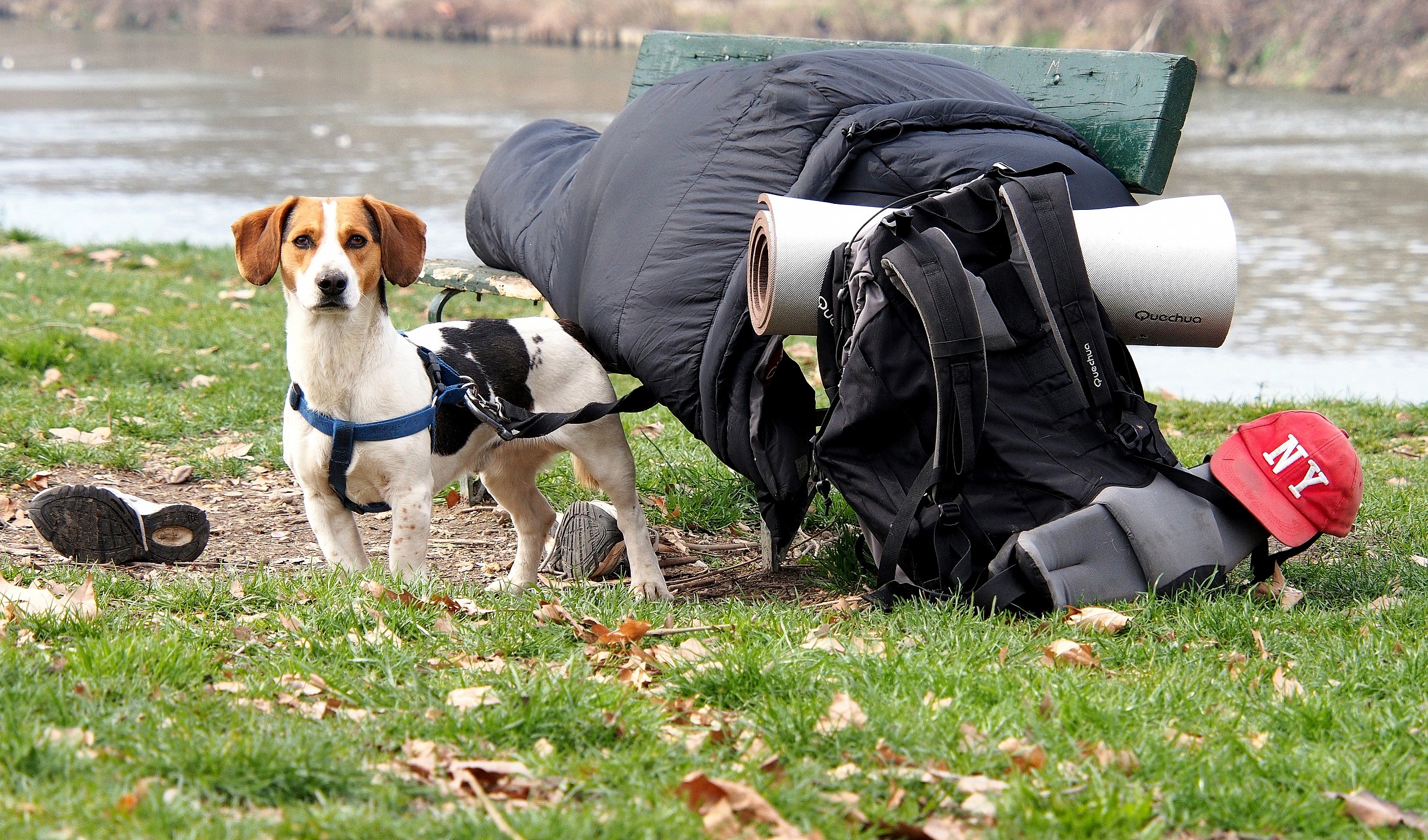 the guardian of the globetrotter