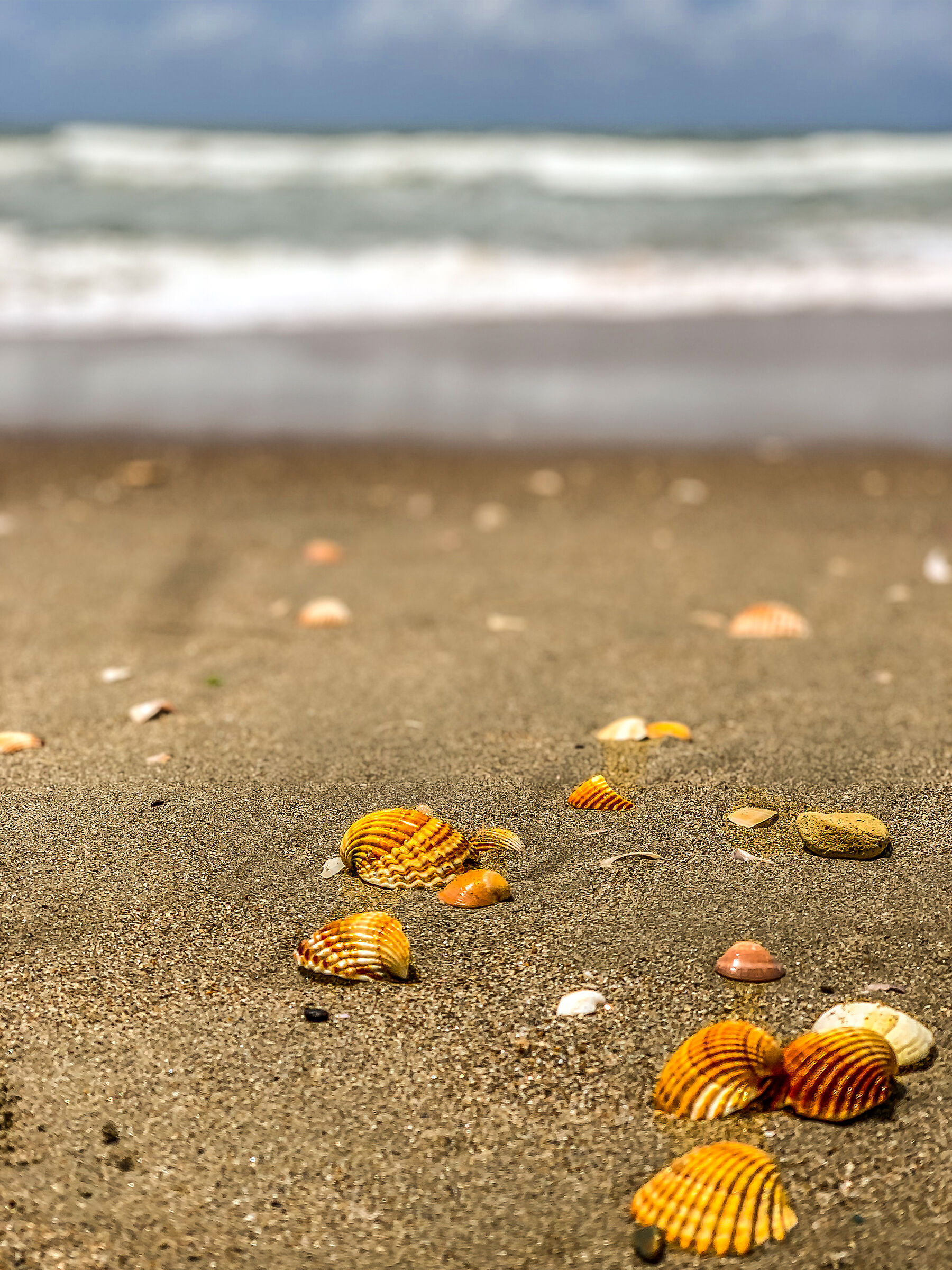 Anzio Beach (RM)