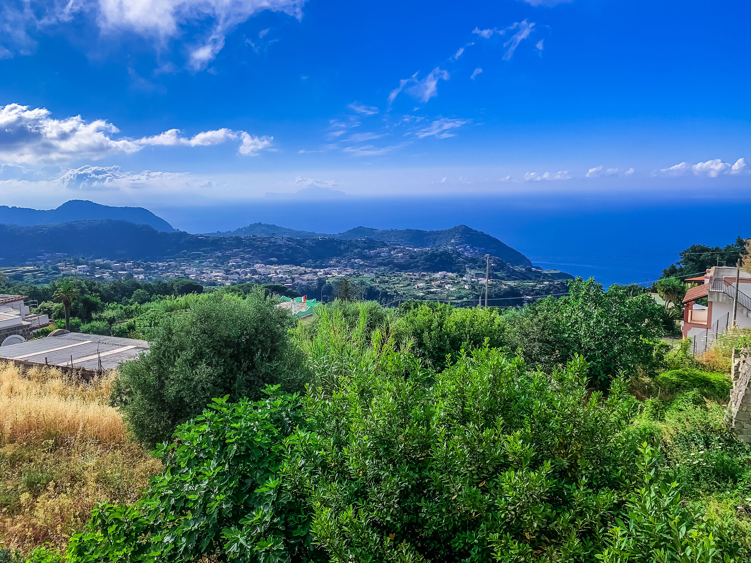 Ischia