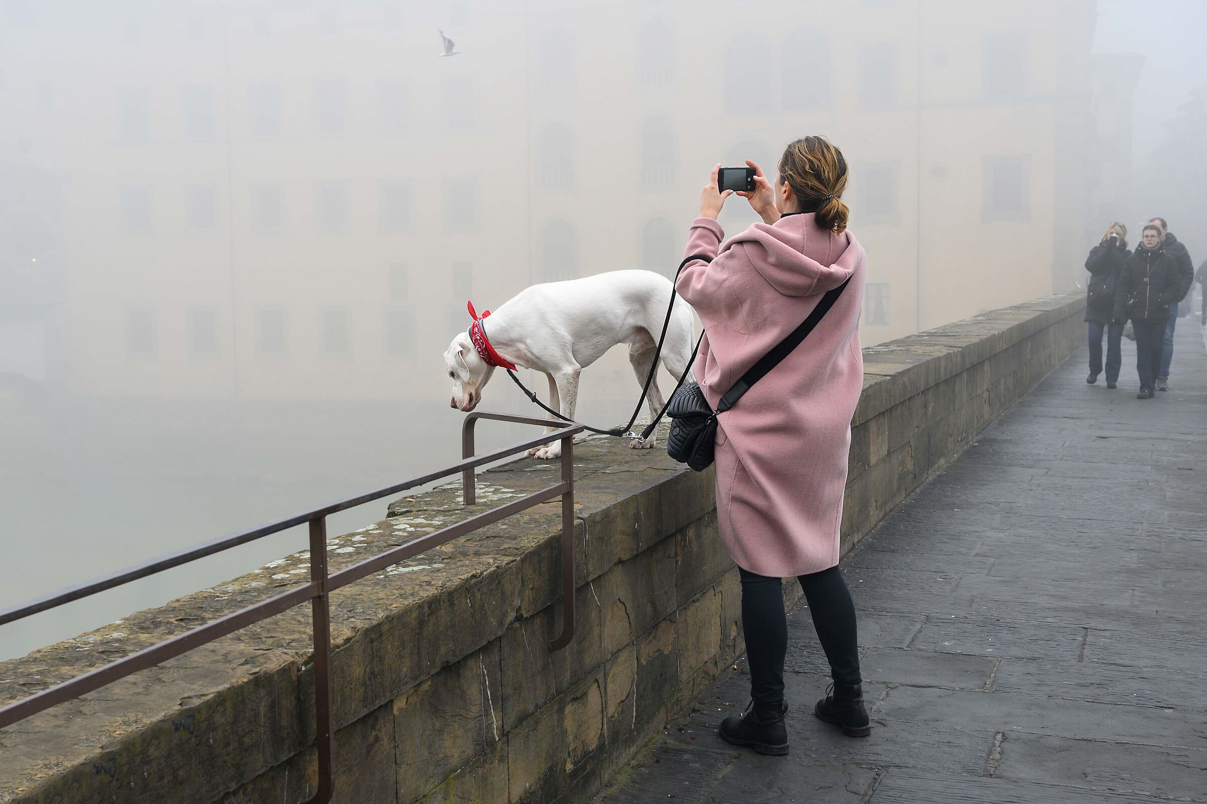Fog on the Arno