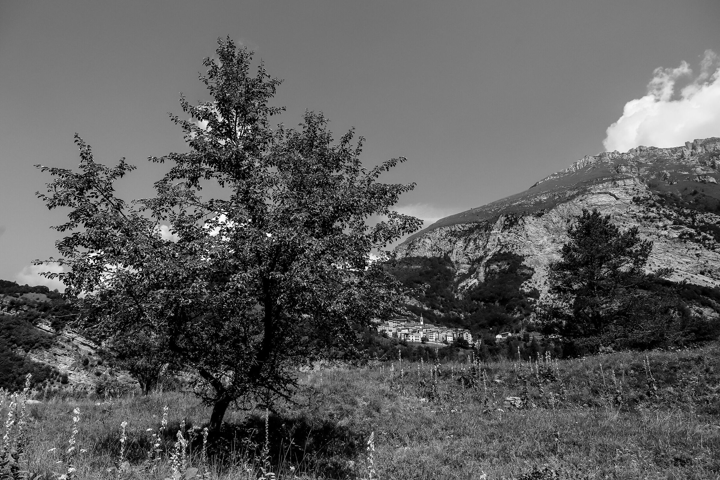 Casso seen from Vajont