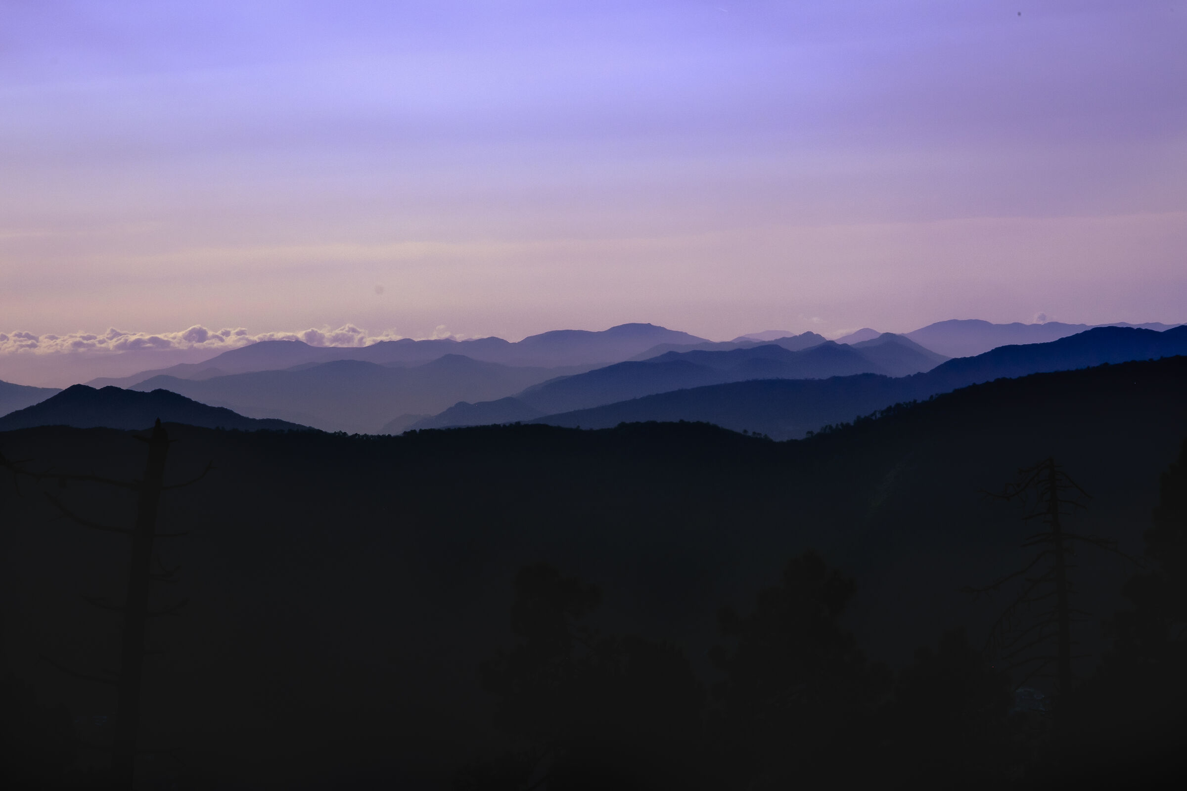 Sfumature all'Alba..