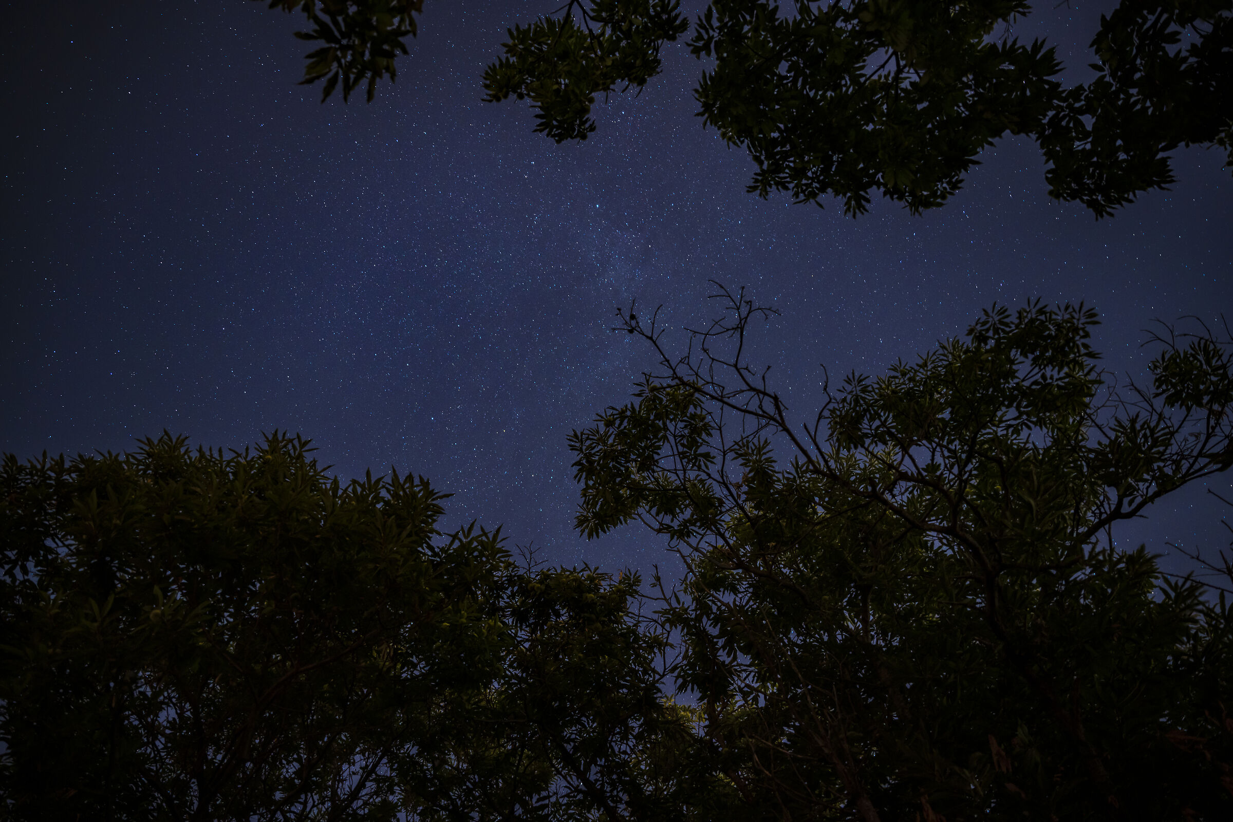 Cielo Stellato