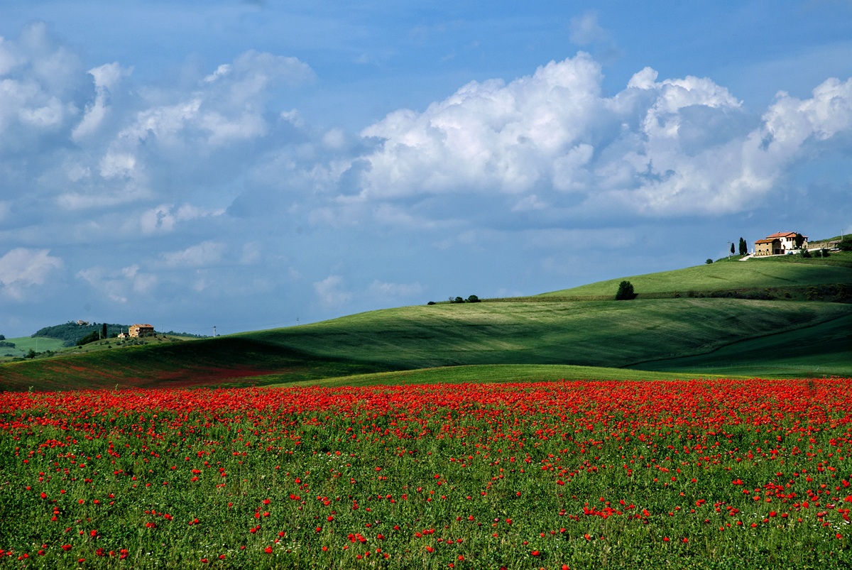 sulla via di pienza