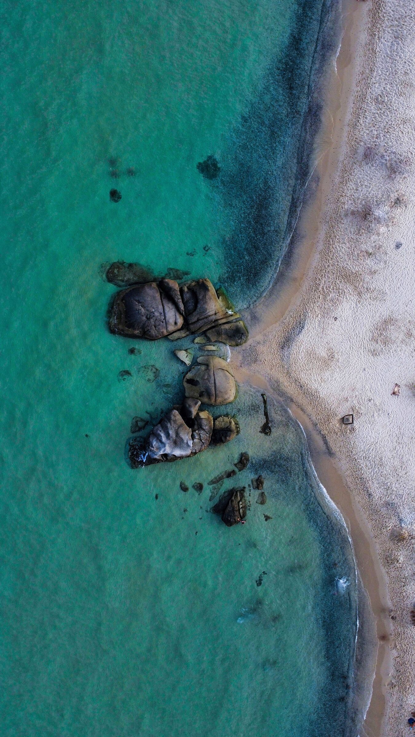 Sardegna by mosquito ?