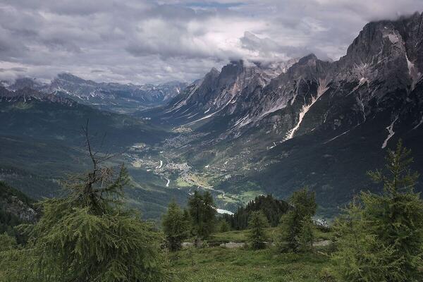 Foto