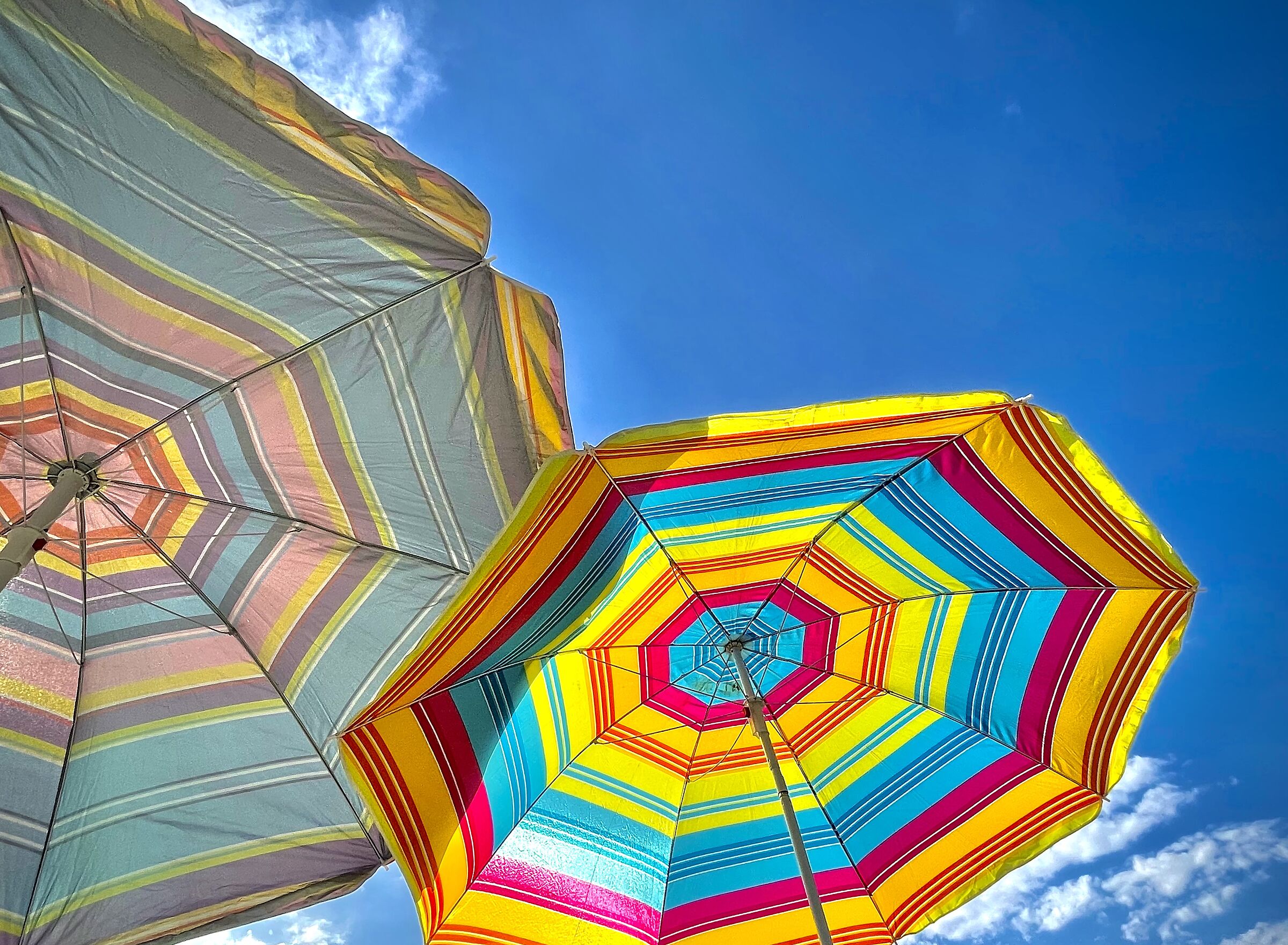 Voglia di normalità.....