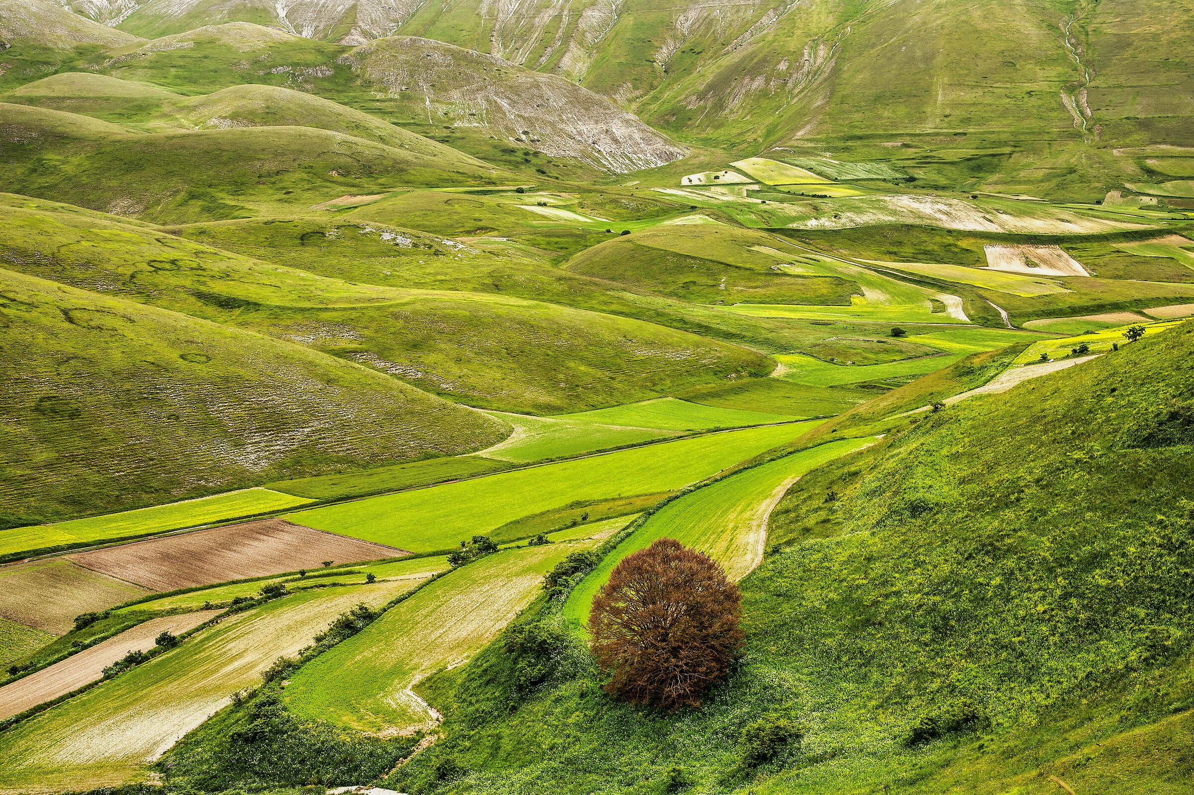 castelluccio 4