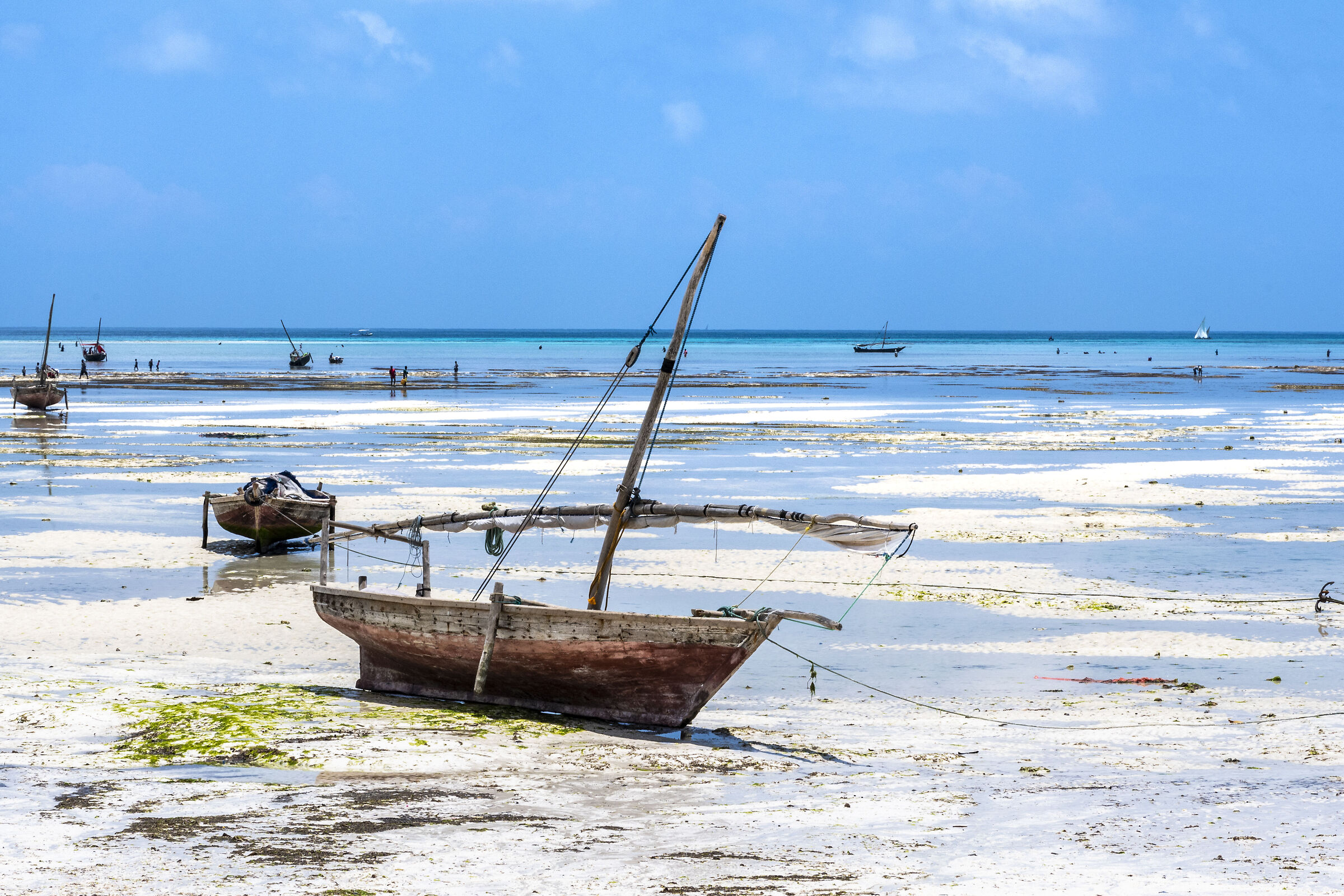 Bassa Marea - Zanzibar - Tanzania