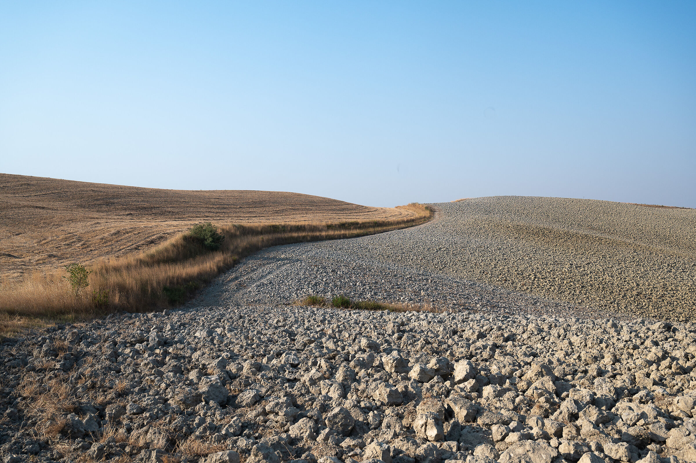 Caampagna in Agosto a Santa Luce (PI)