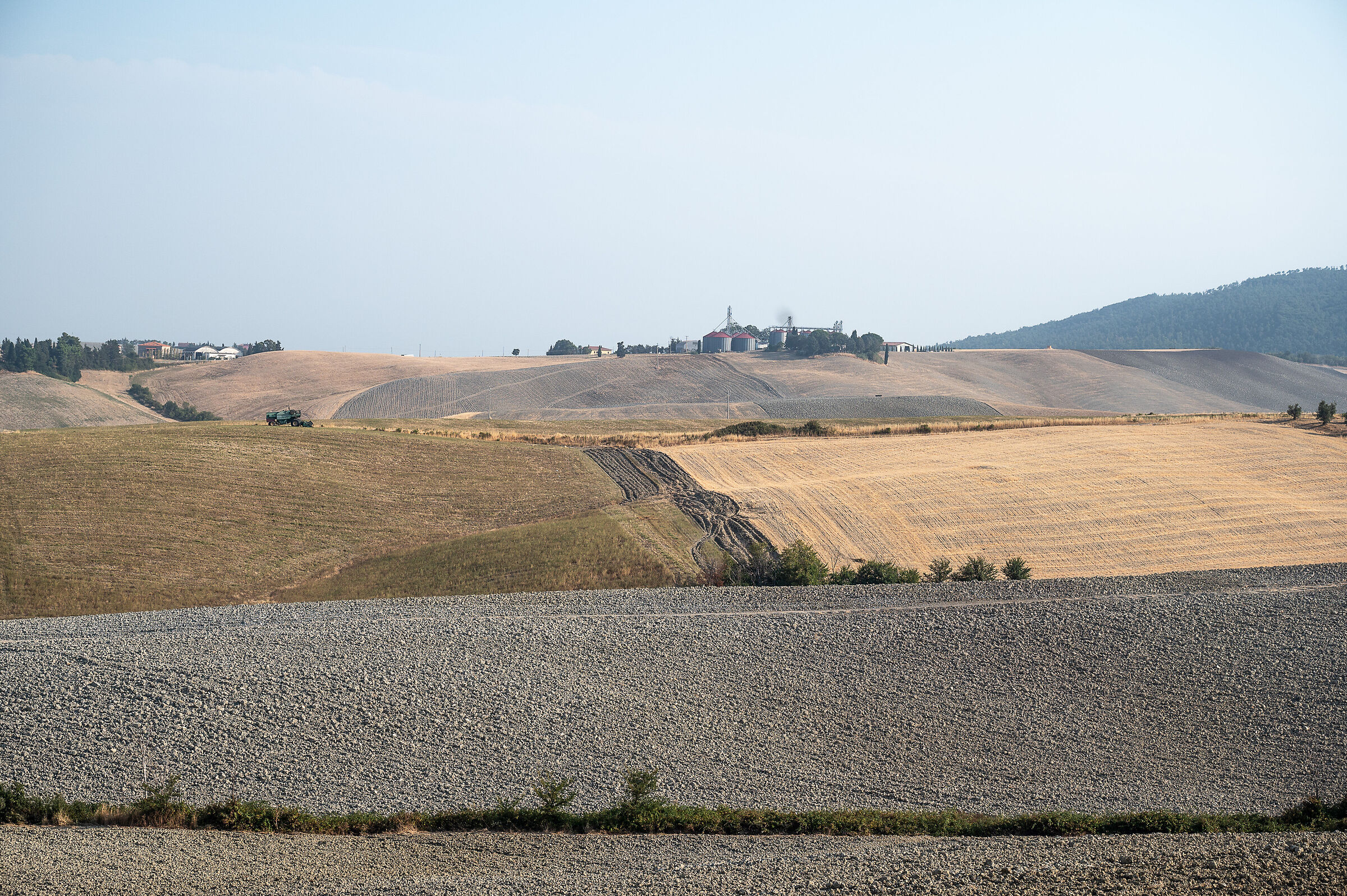 Campagna in Agosto a Santa Luce1(PI)