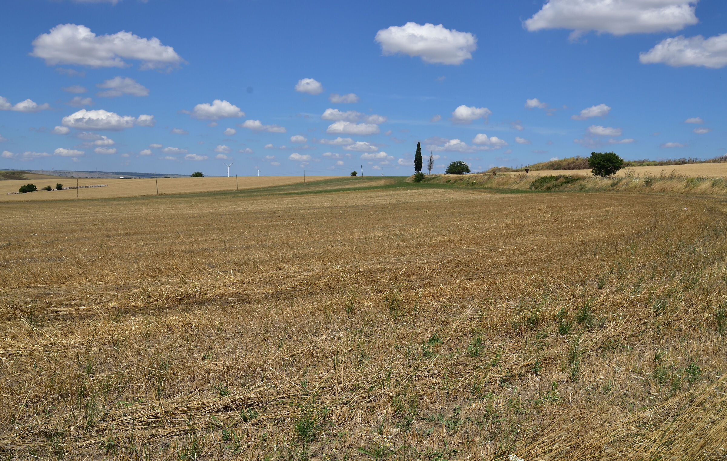 Apulian countryside