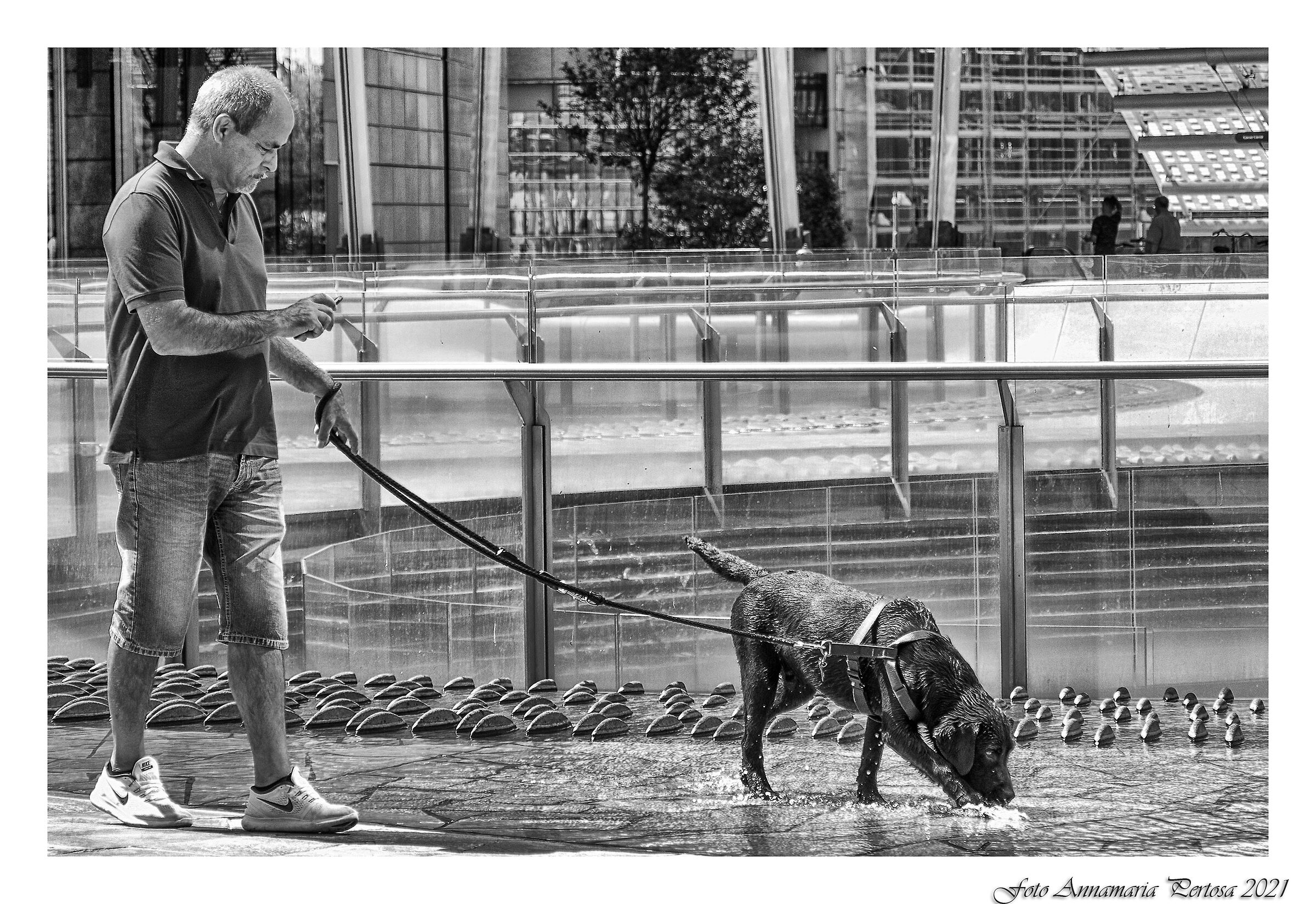 Un po' di fresco anche per il nostro amico