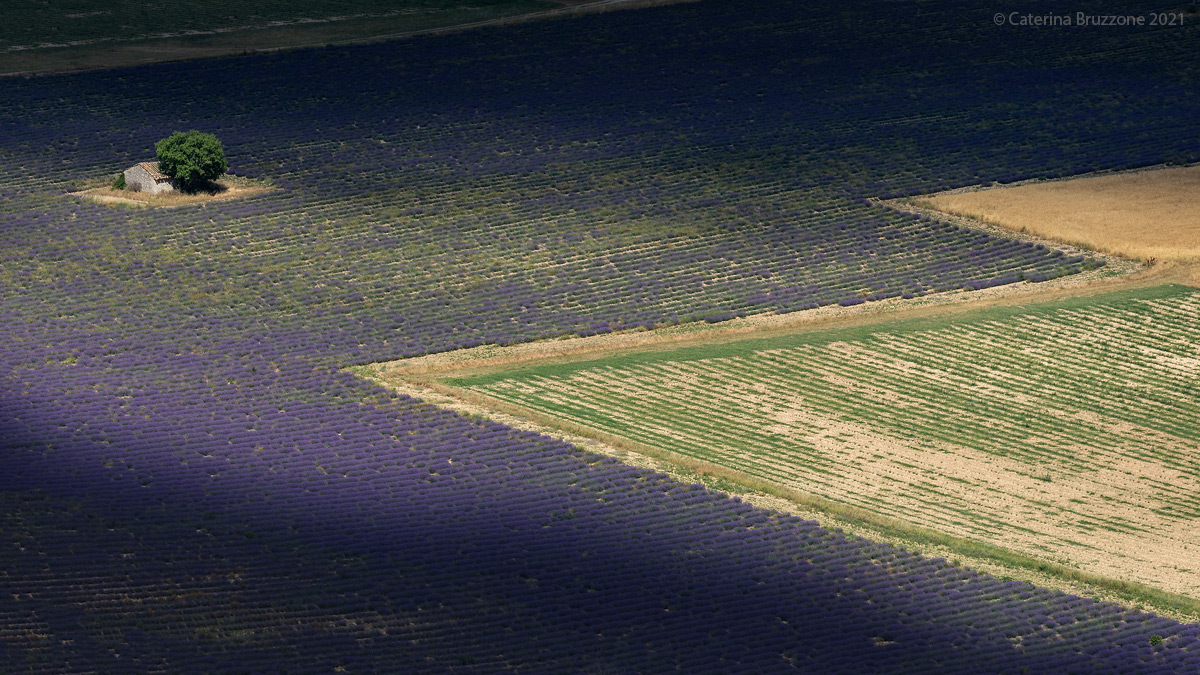 Geometrie provenzali