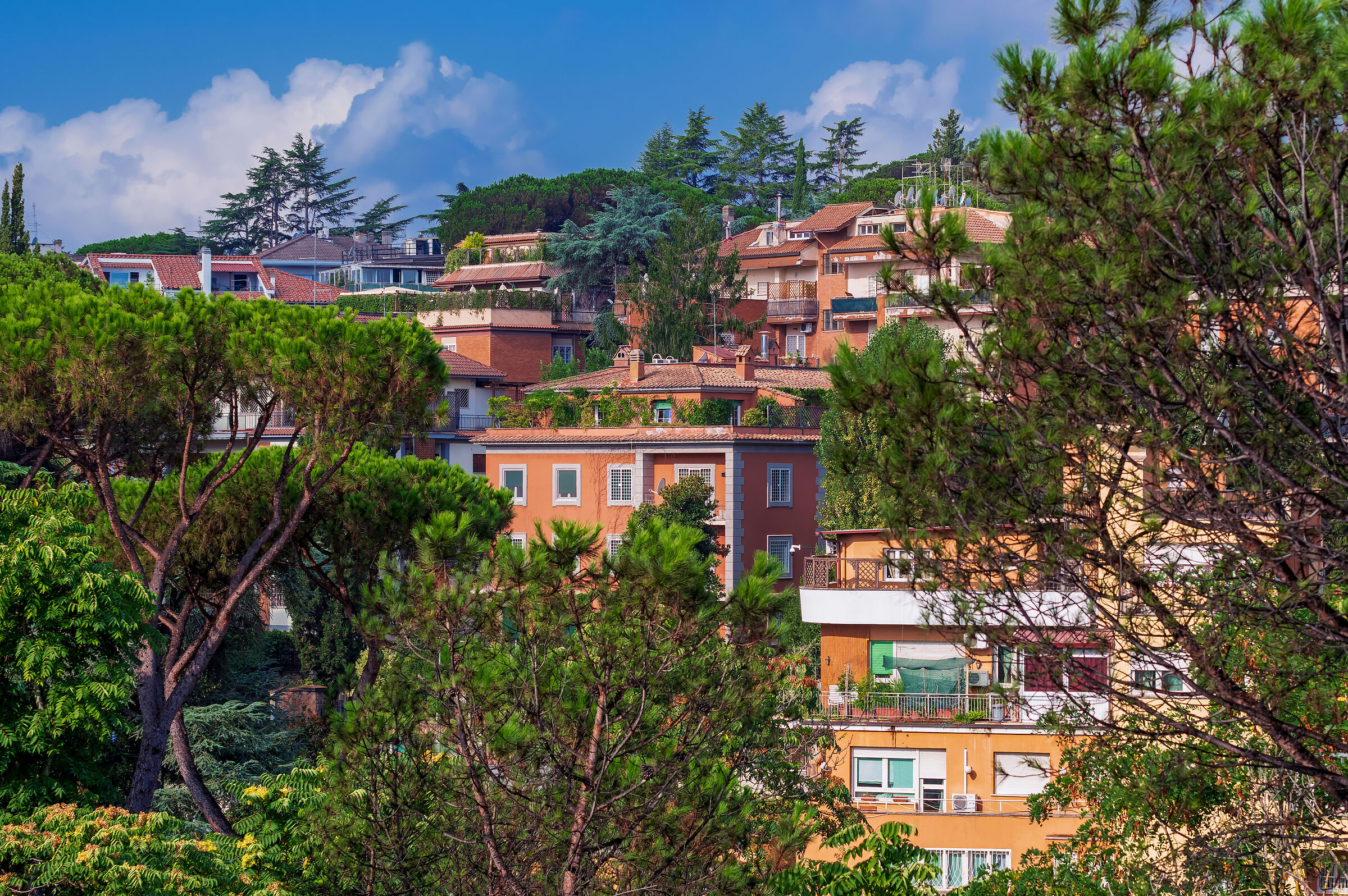 Roma