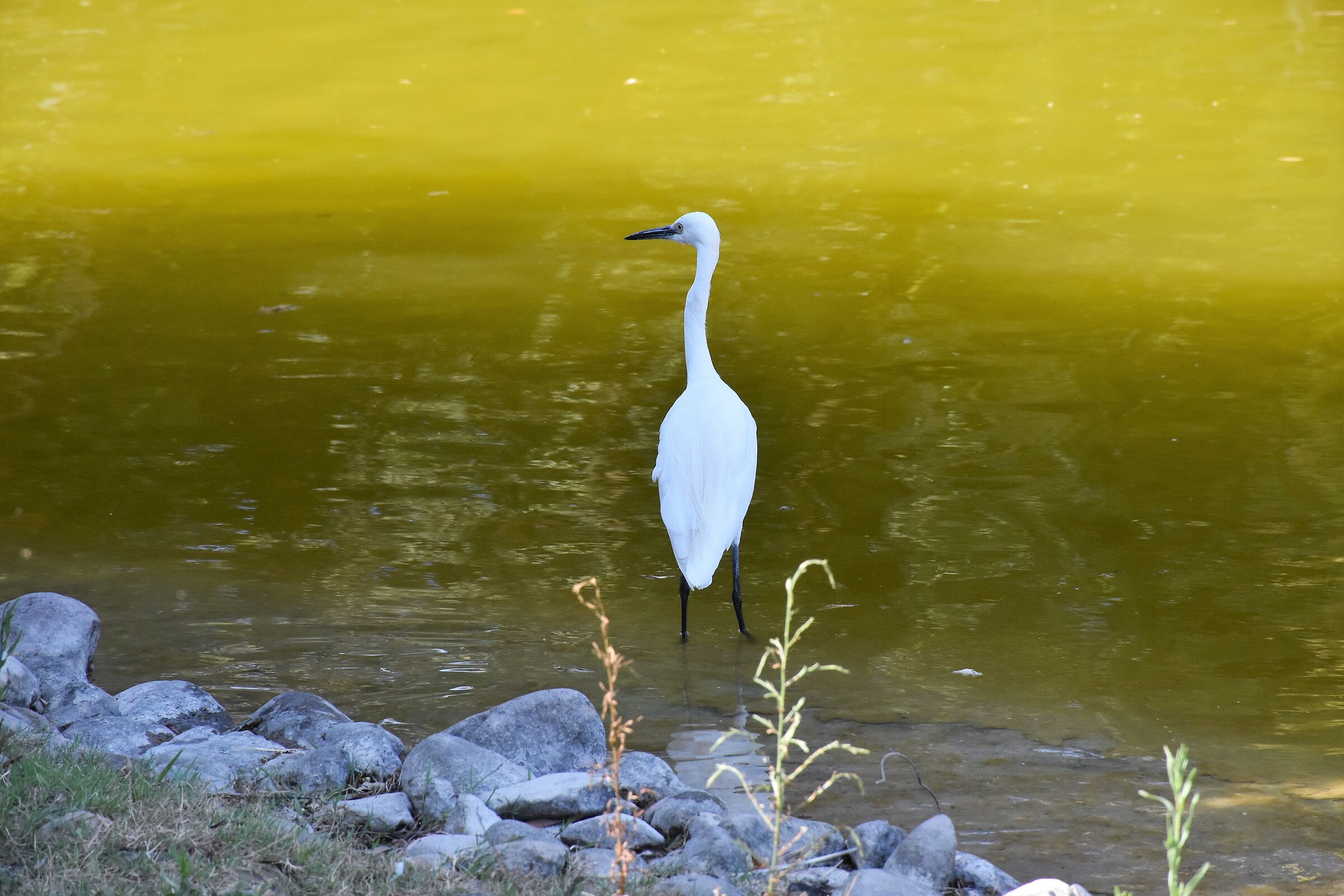 " Meglio guardarsi intorno "