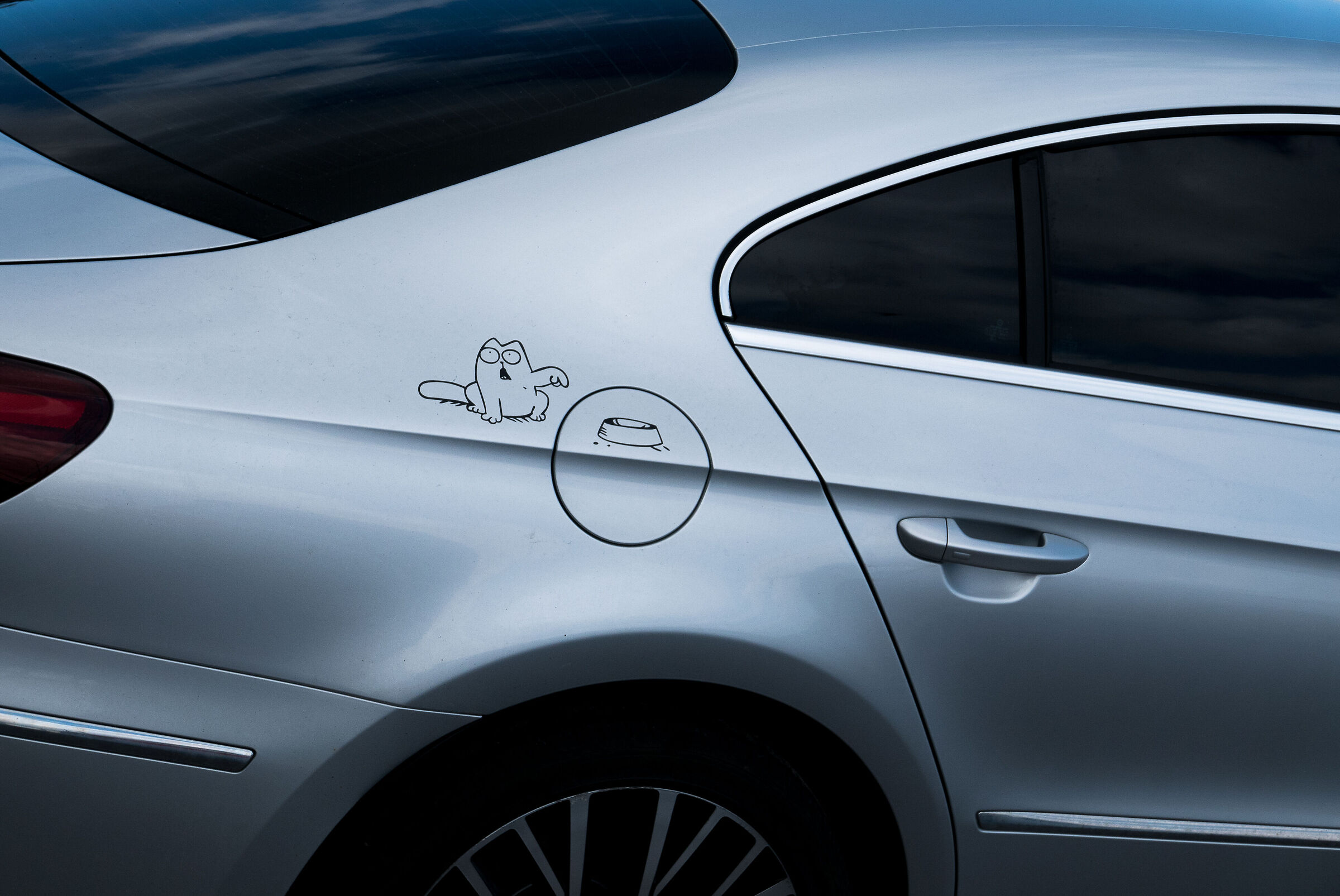 Il gatto più comico del mondo