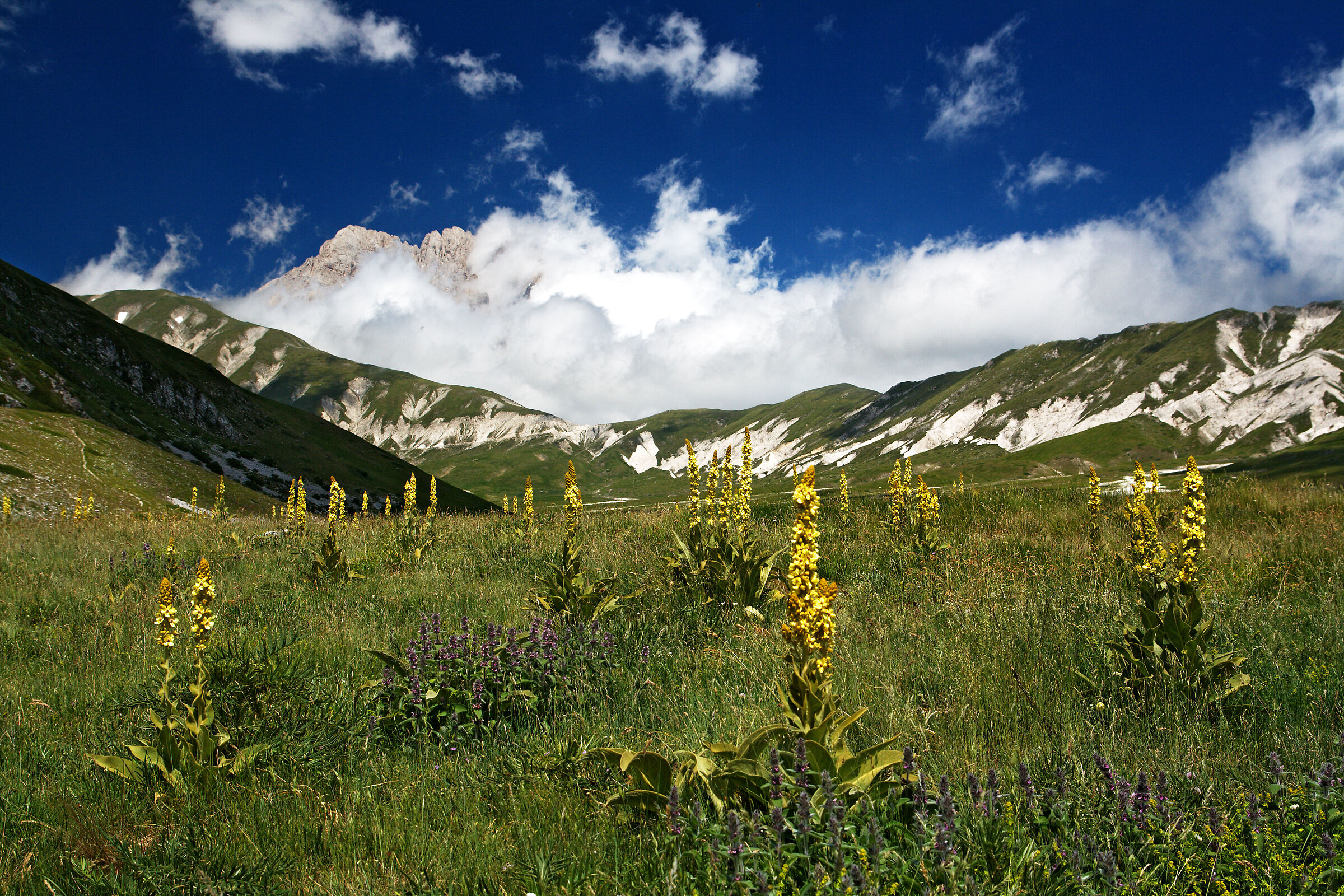 Campo Imperatore