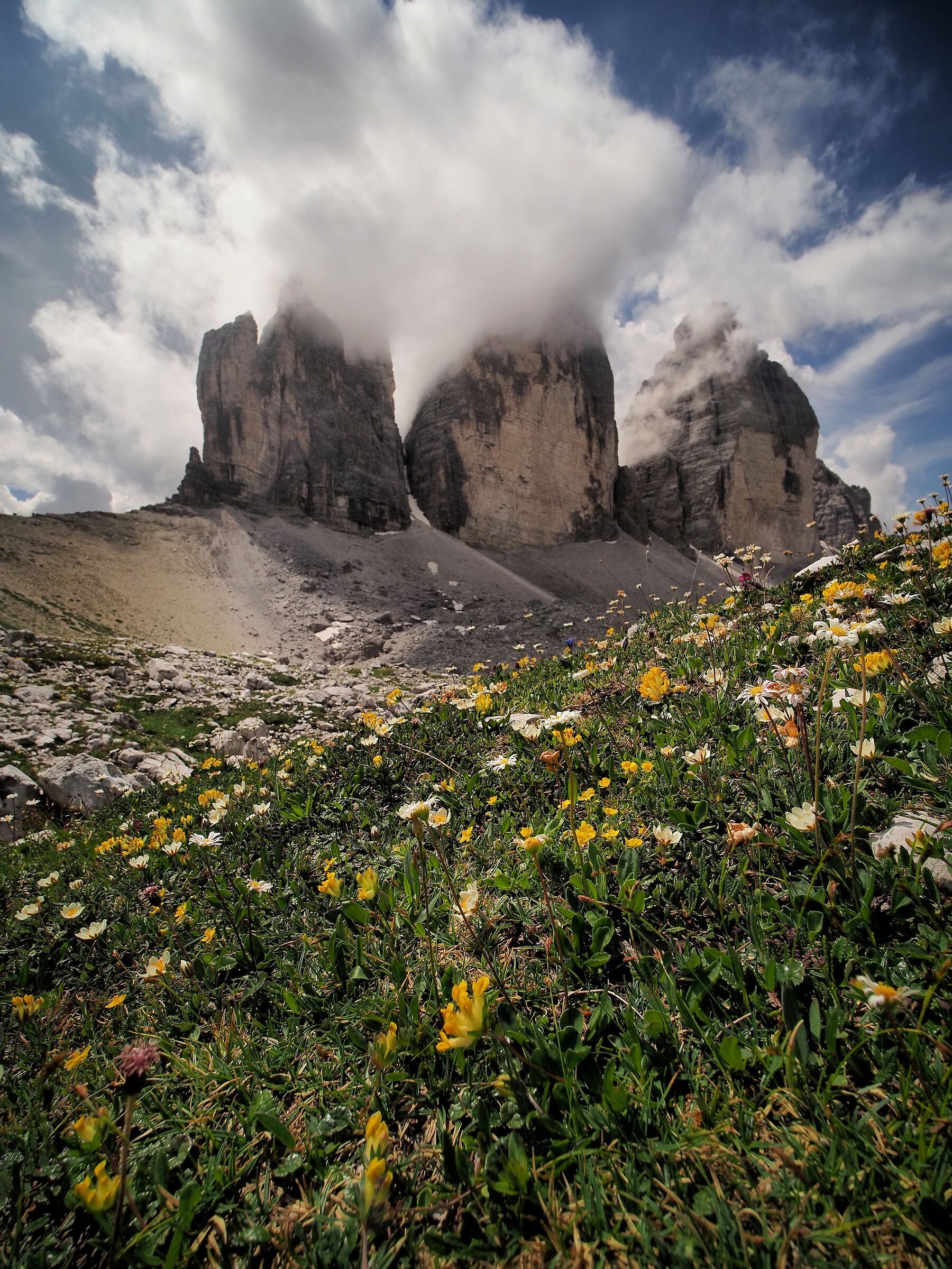 Cartolina dalle dolomiti