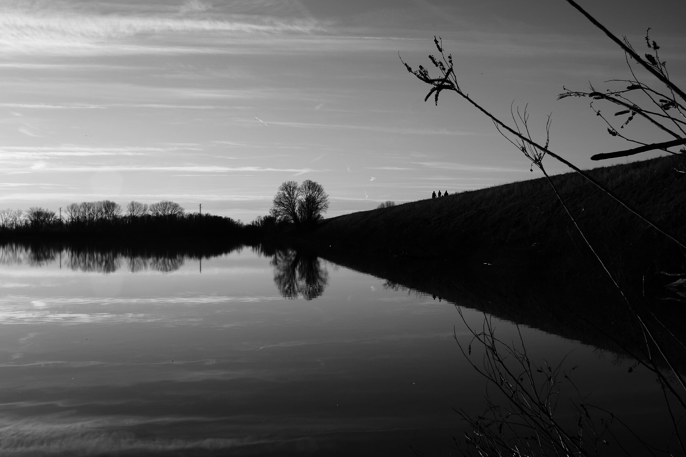Riflessi