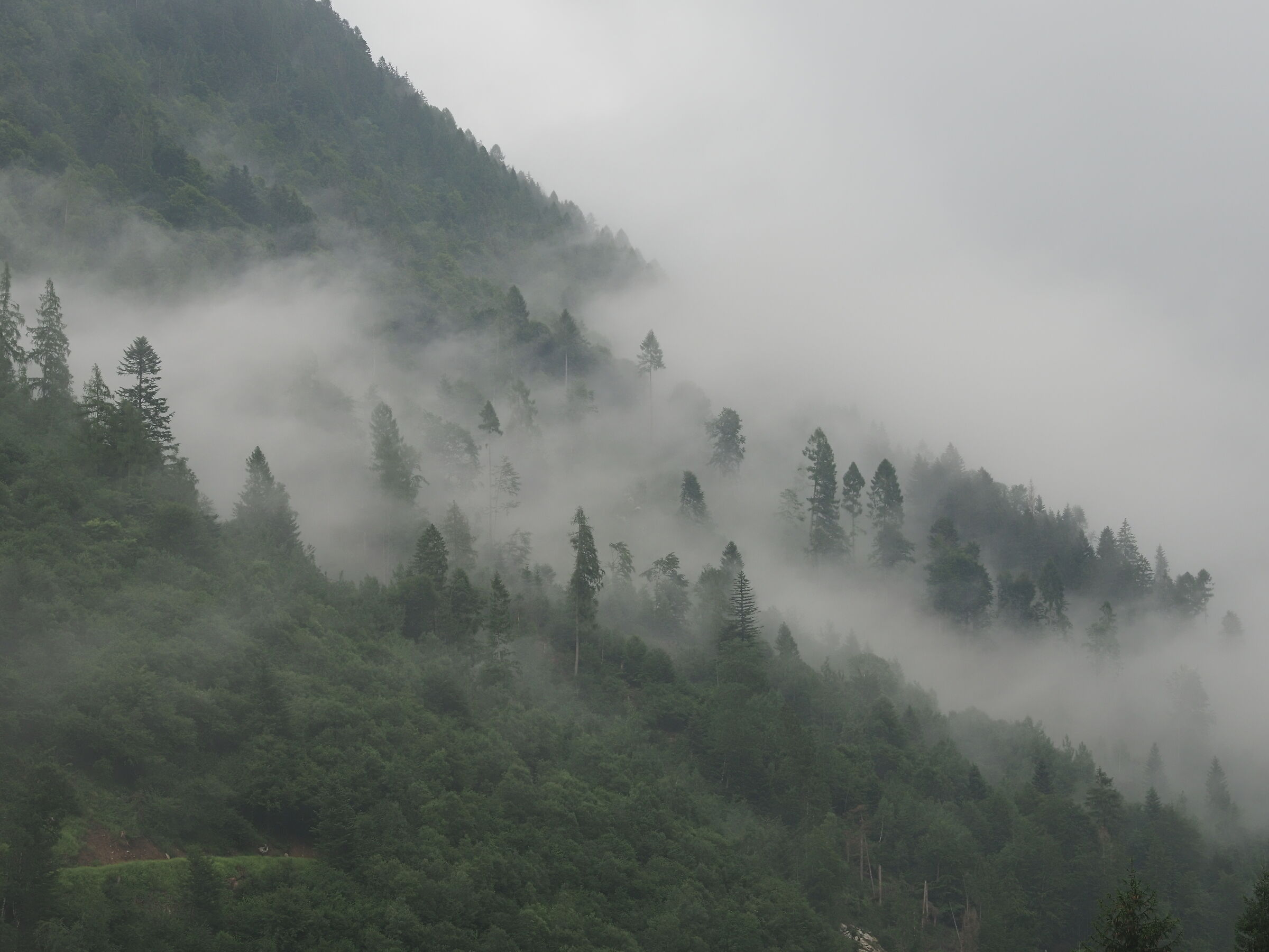 stormy peaks