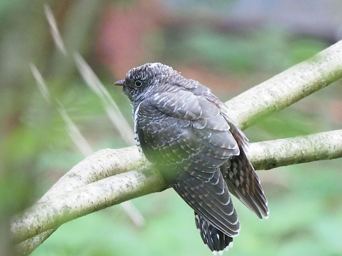 Dating almost in the dark!!