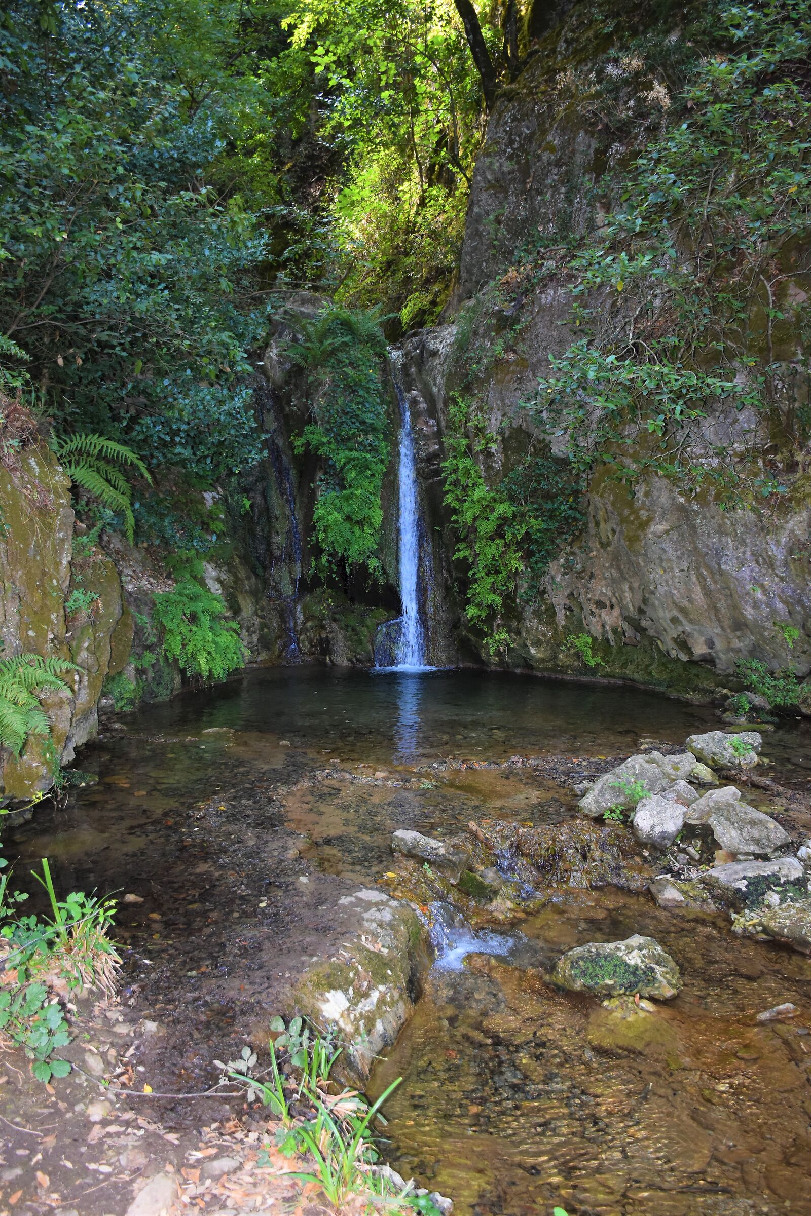 E poi cammina cammina trovi lei...