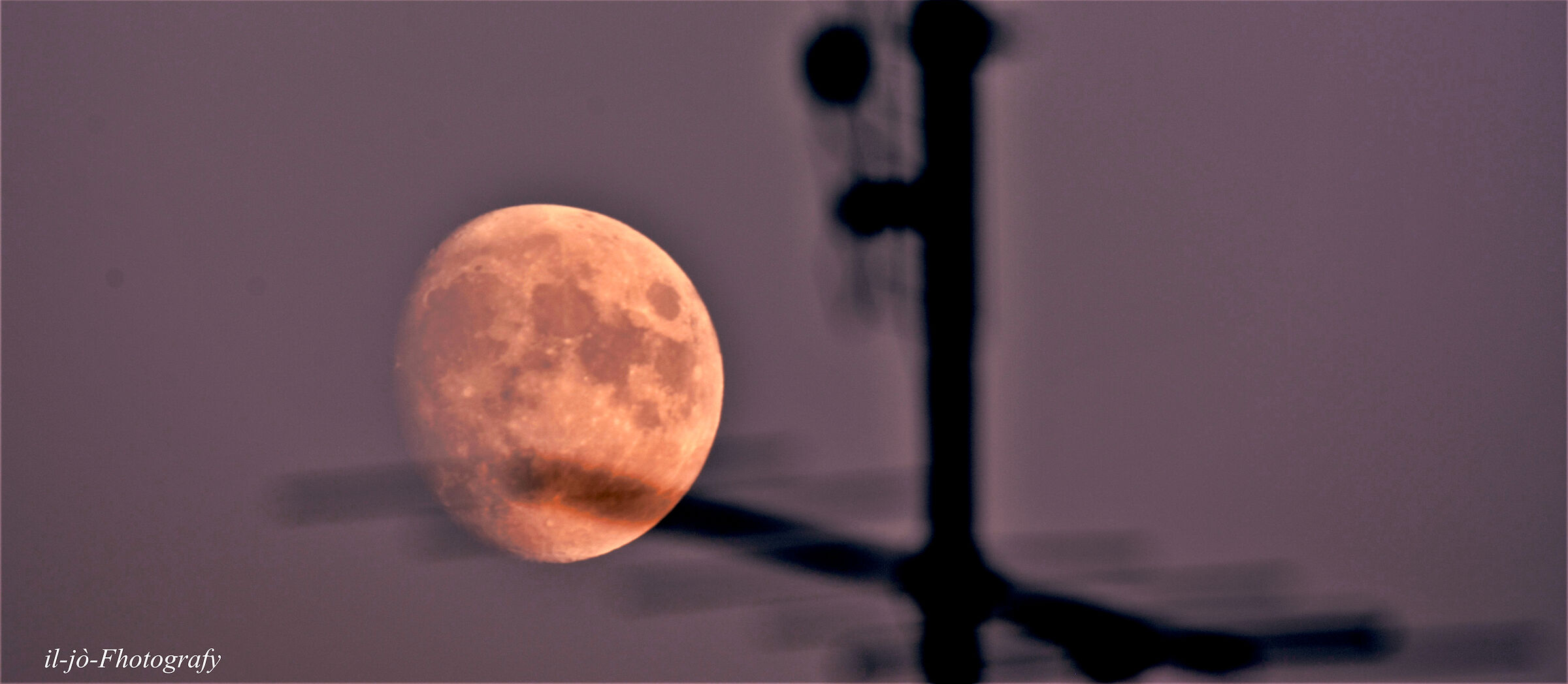 Untitled Photo